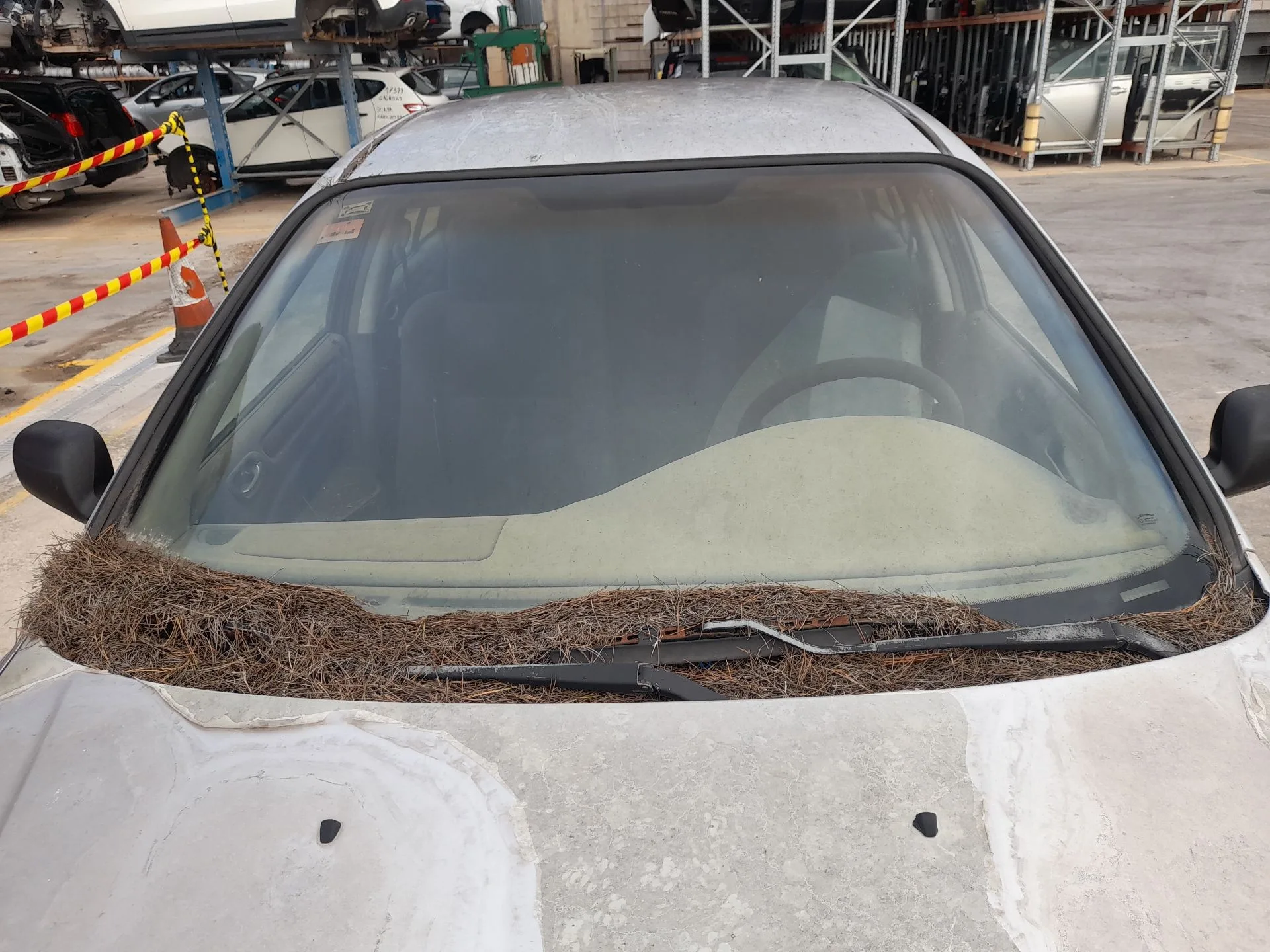 Parabrisas para Honda Accord Vi (Ck, Cg, Ch, Cf, Cl)