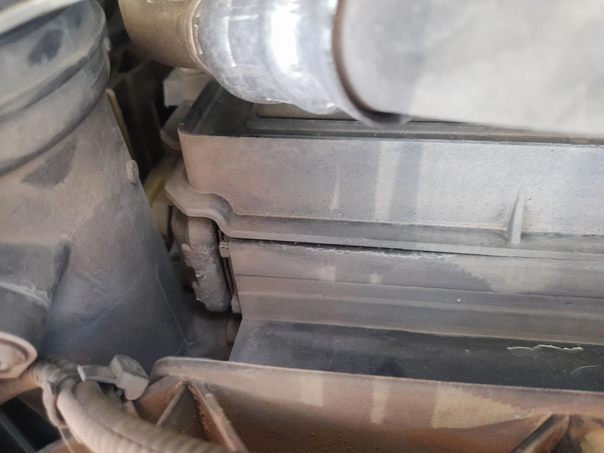 Radiador Agua para Seat Leon (1P1)