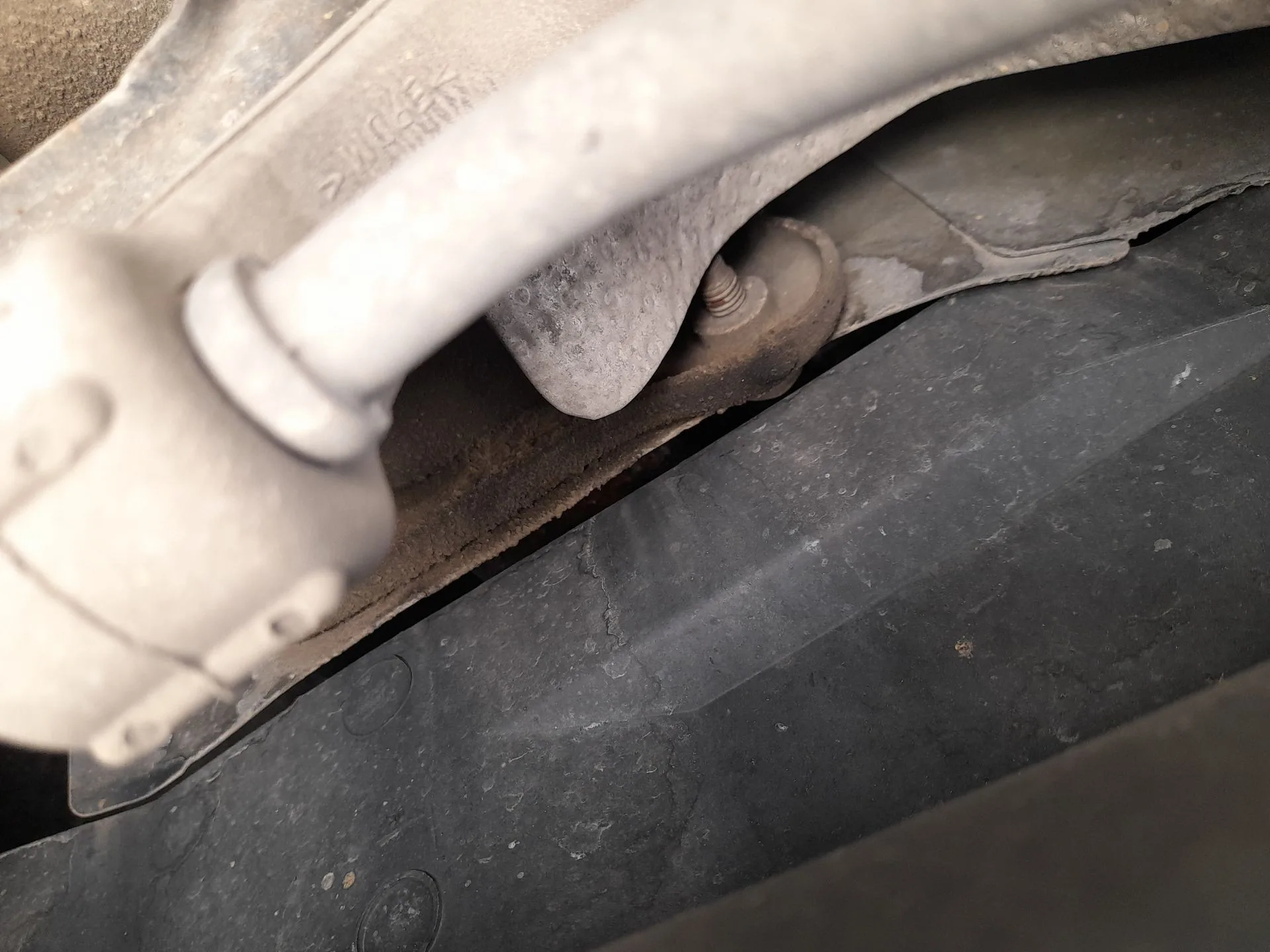 Refuerzo Paragolpes Trasero para Seat Leon (1P1)
