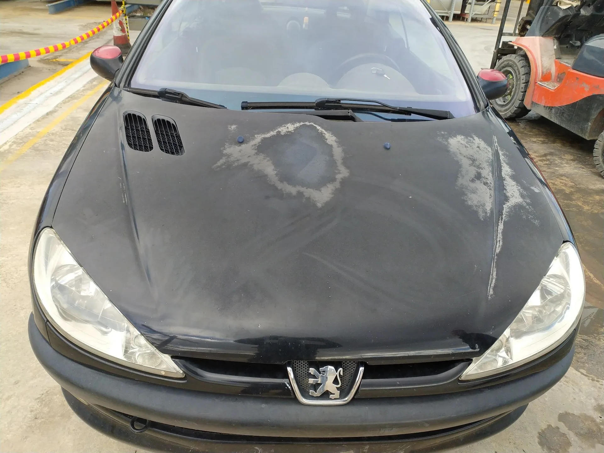Capot para Peugeot 206 Cc (2D)