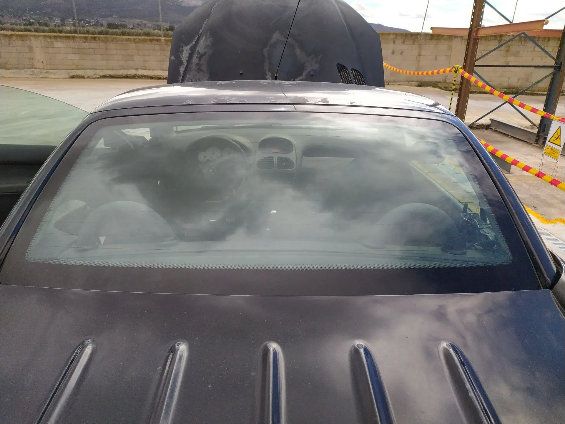 Luna Trasera para Peugeot 206 Cc (2D)