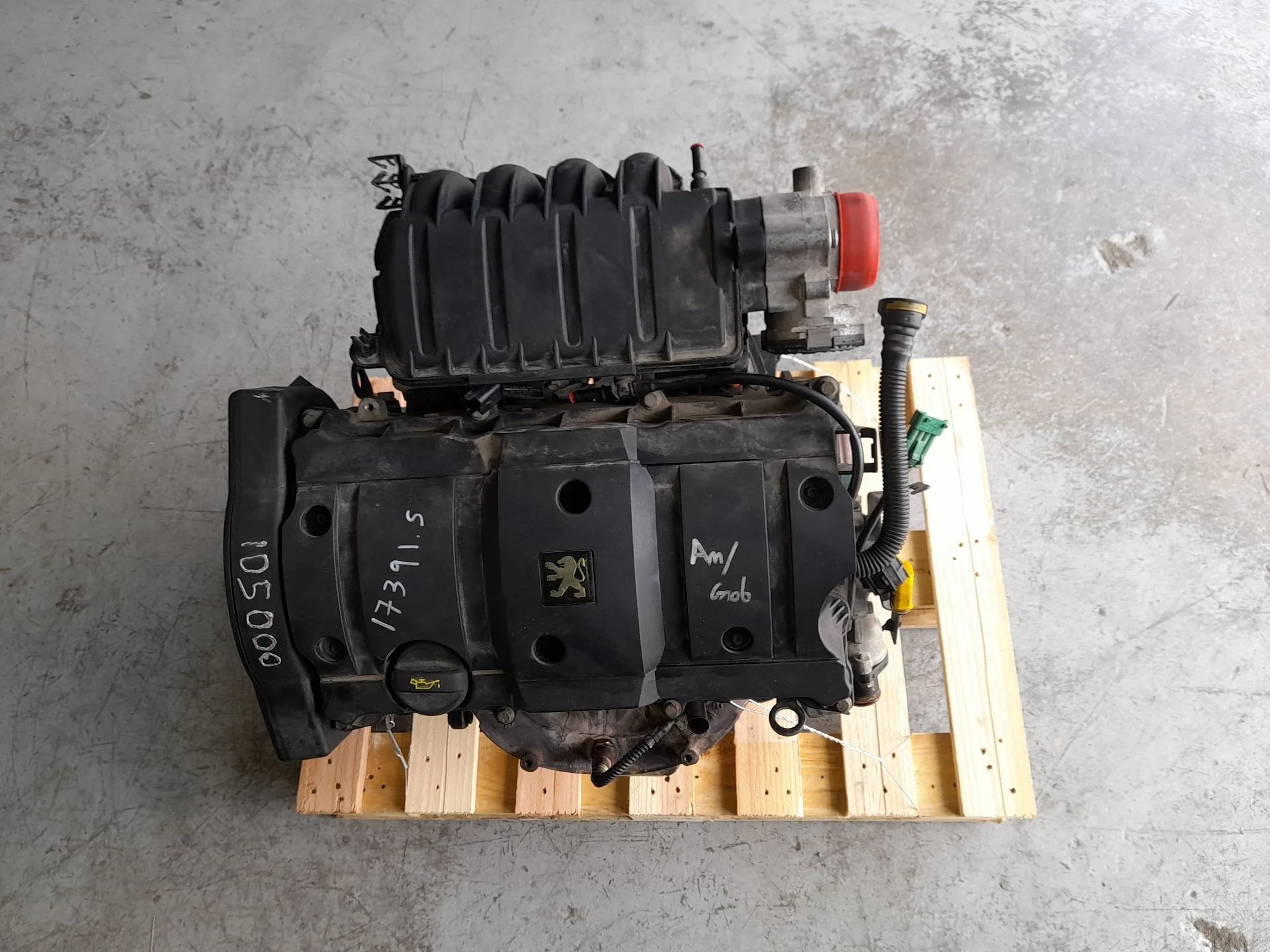 Motor Completo para Peugeot 206 Cc (2D)