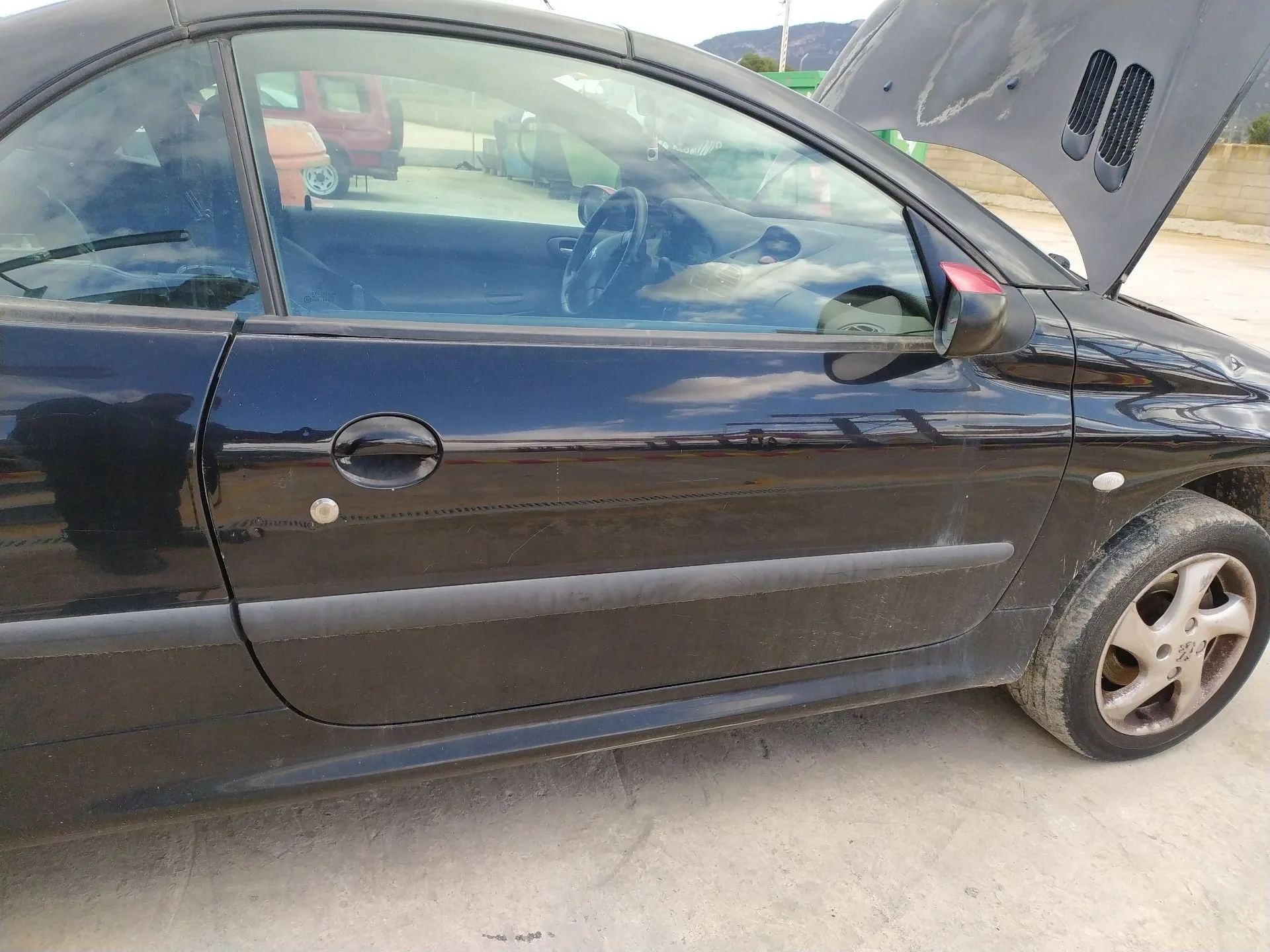 Puerta Delantera Derecha para Peugeot 206 Cc (2D)