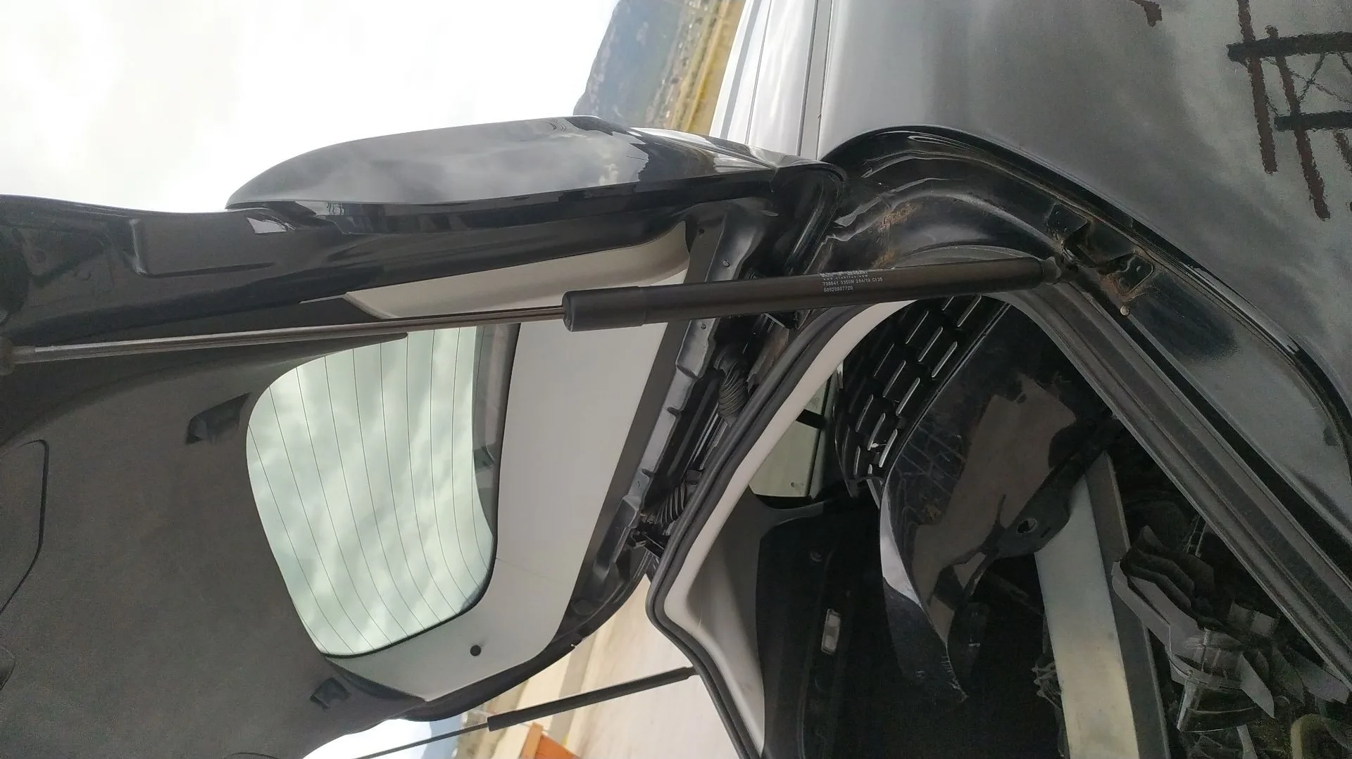 Amortiguadores Maletero / Porton para Fiat Tipo Hatchback (356_, 357_)