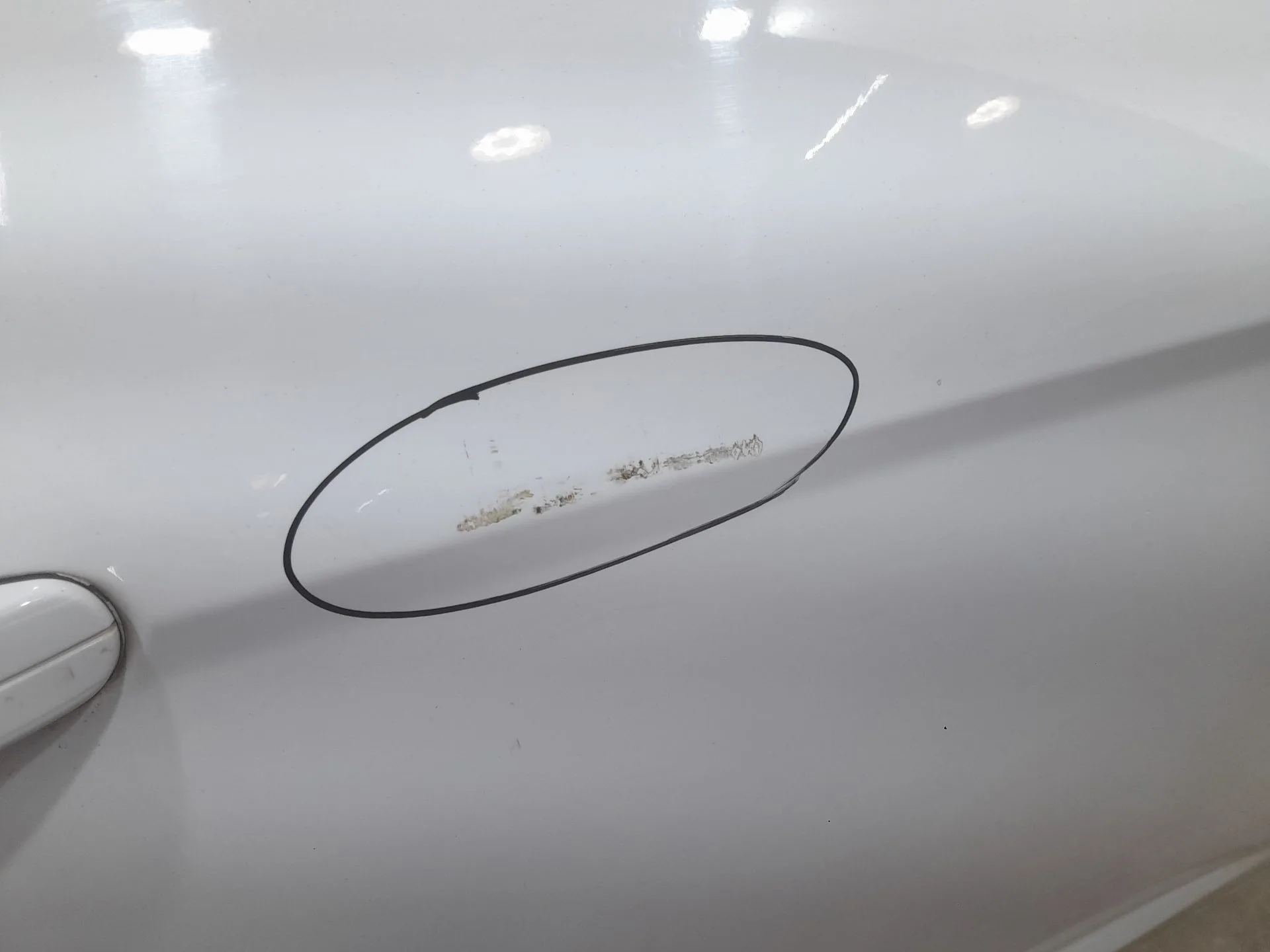 Puerta Delantera Derecha para Ford Focus Iii