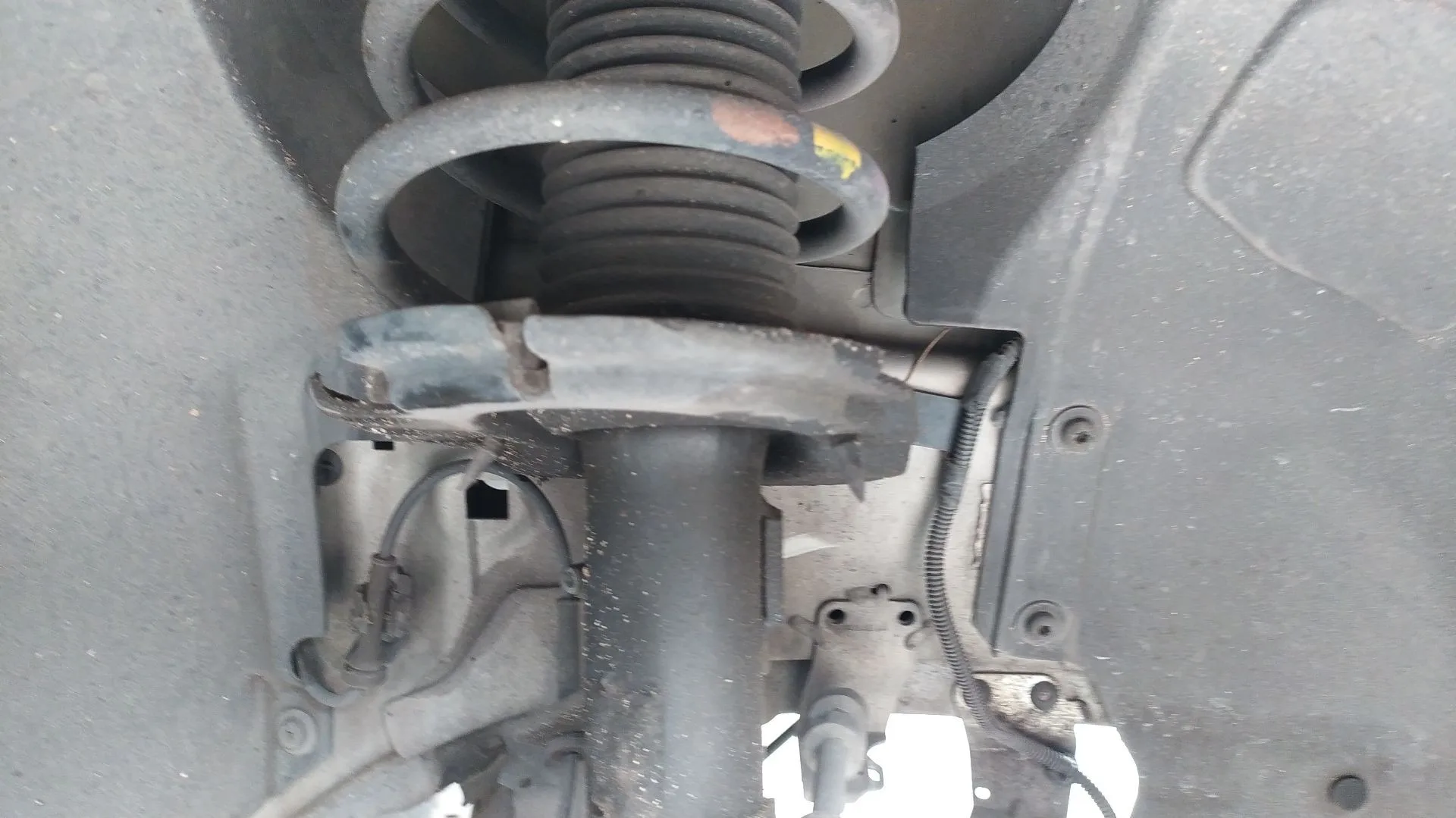 Amortiguador Delantero Derecho para Ford Focus Iii