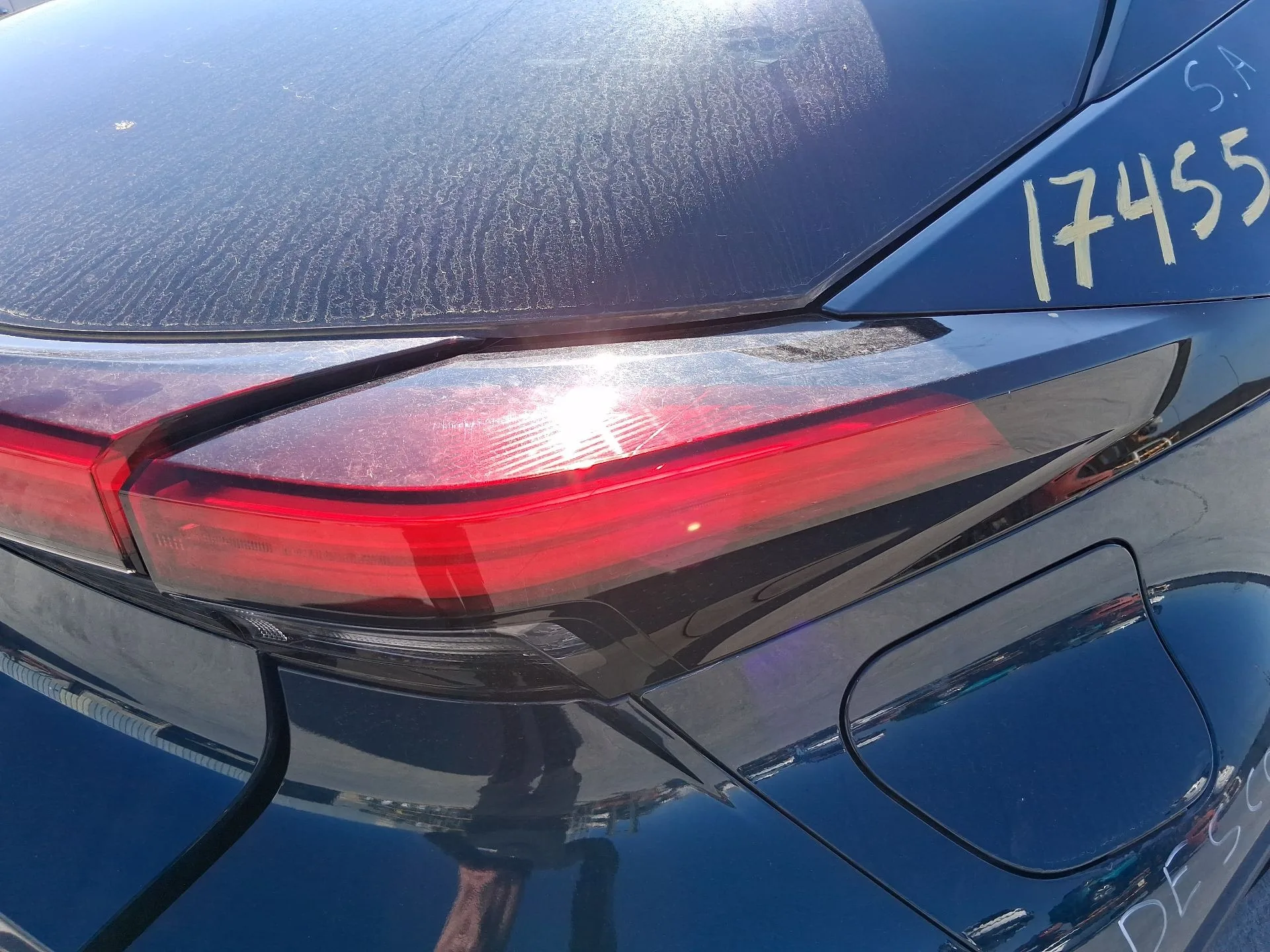 Piloto Trasero Derecho para Toyota C-Hr (_X1_)