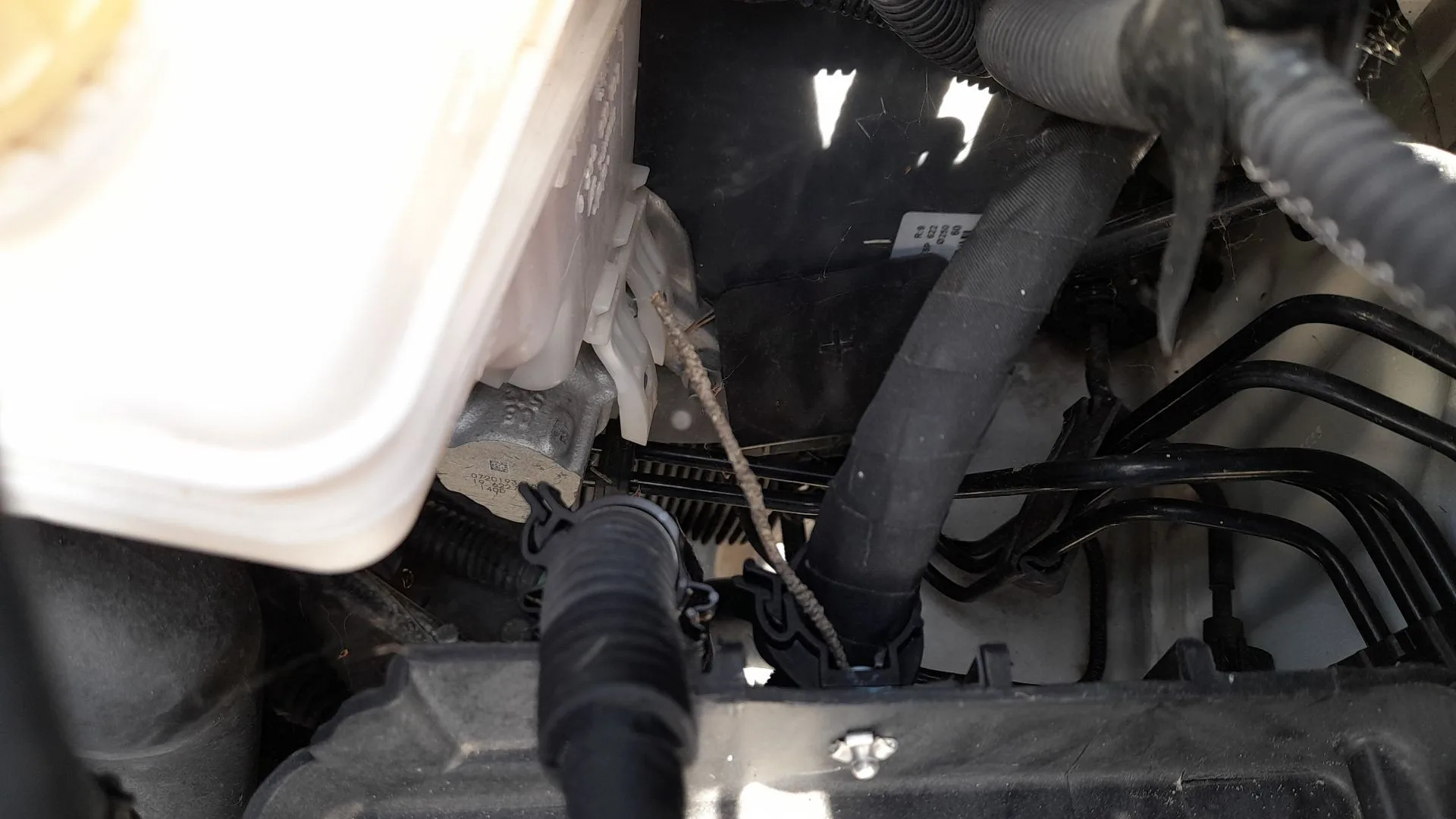 Bomba Freno para Fiat Doblo Cargo (263_)