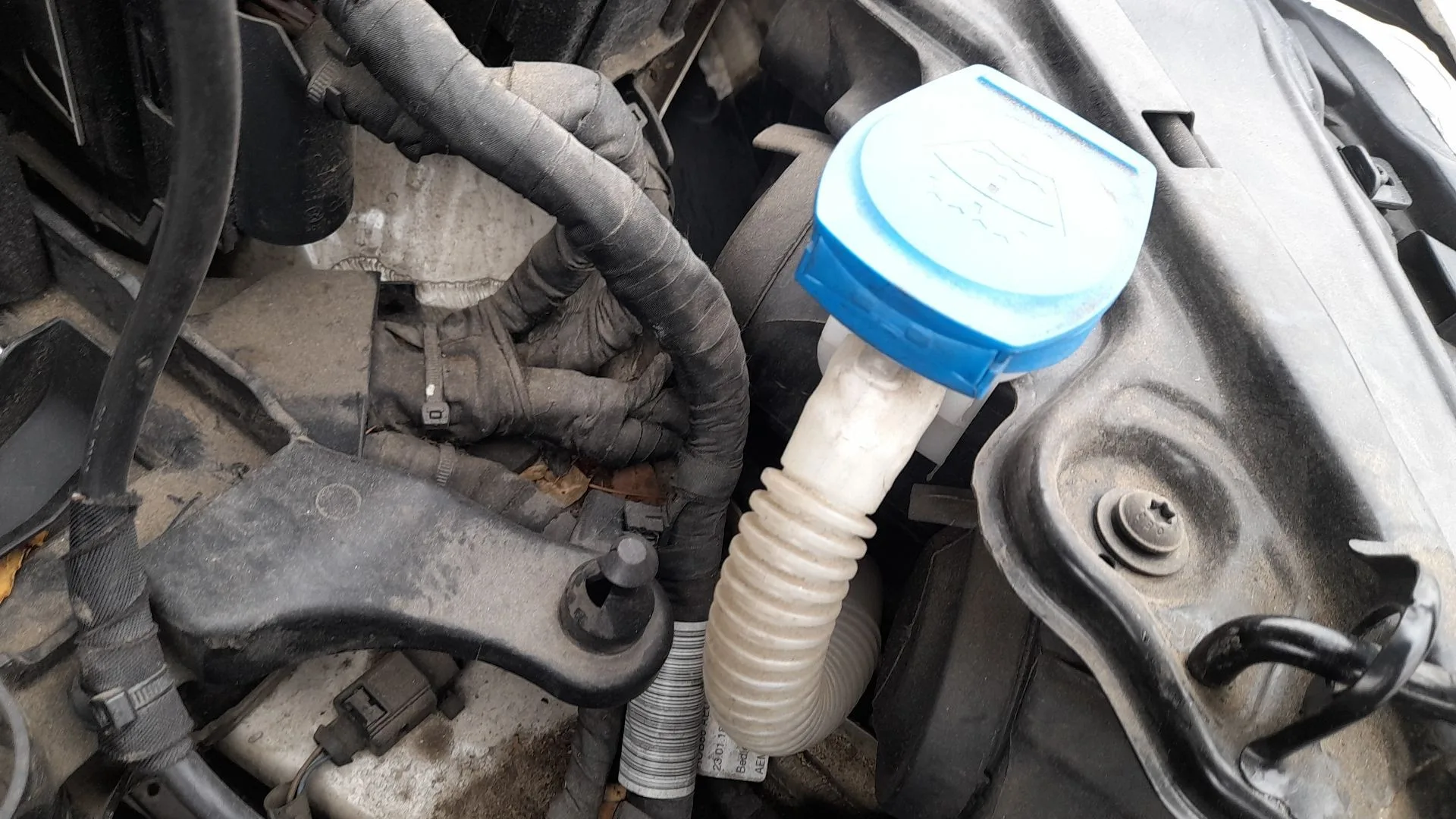 Deposito Limpia para Volkswagen Polo Vi (Aw1, Bz1, Ae1)