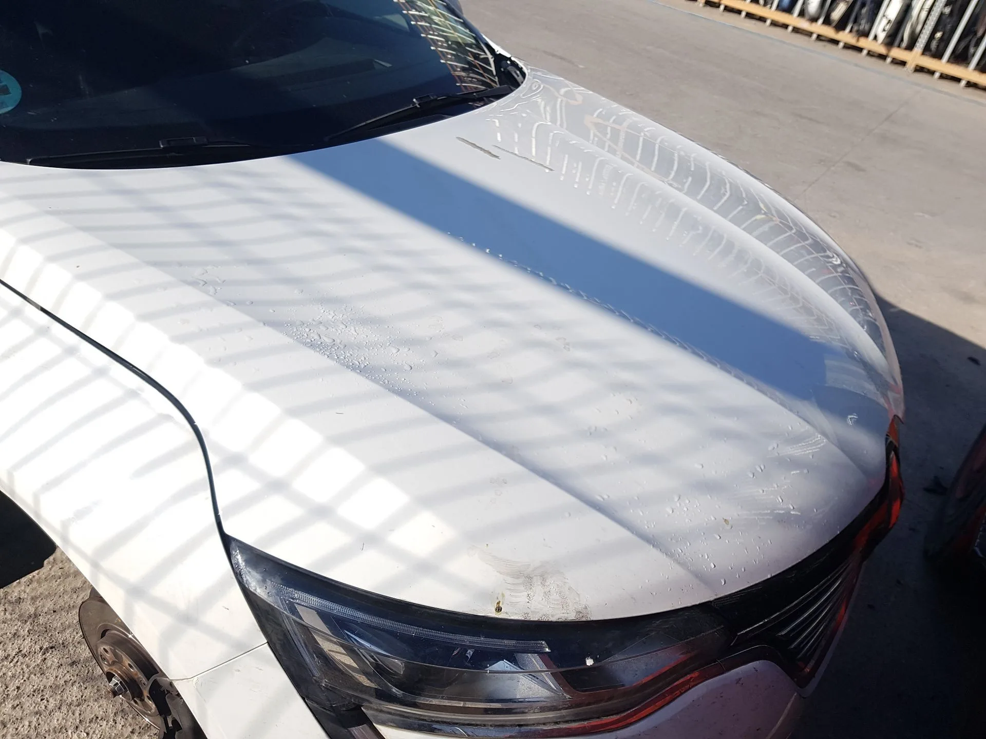 Capot para Renault Talisman (Lp_)