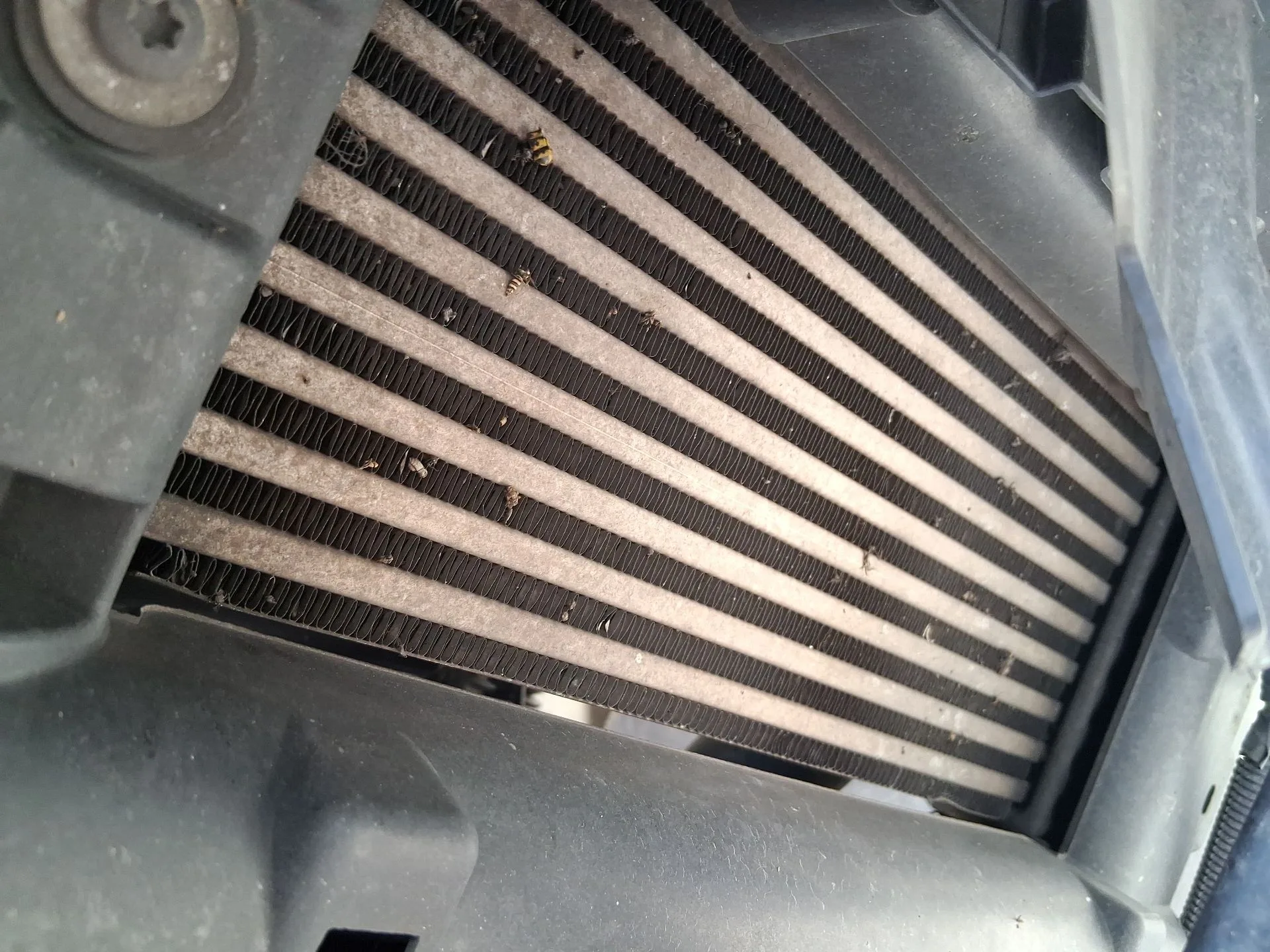 Intercooler para Peugeot 3008 I Monospace (0U_)