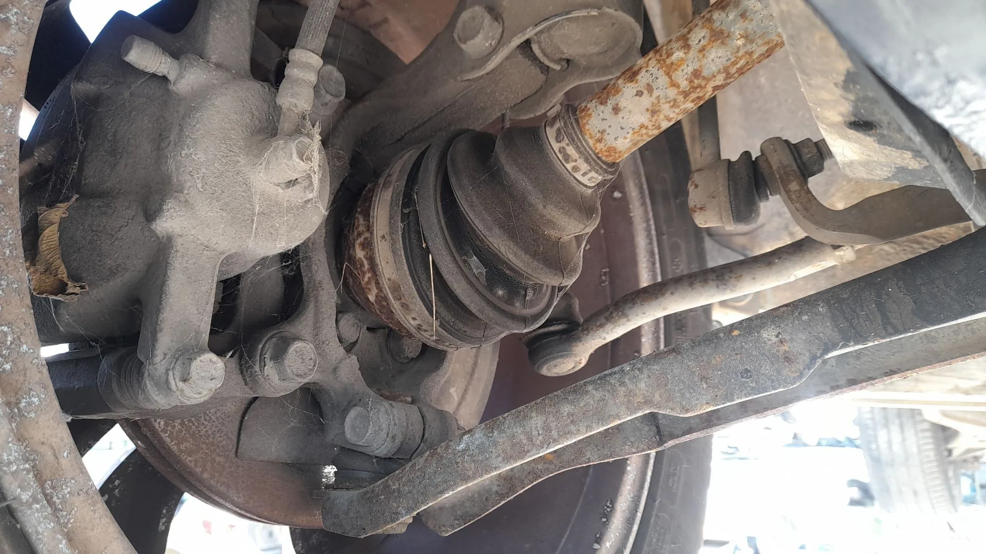 Mangueta Delantera Derecha para Nissan X-Trail Ii (T31)