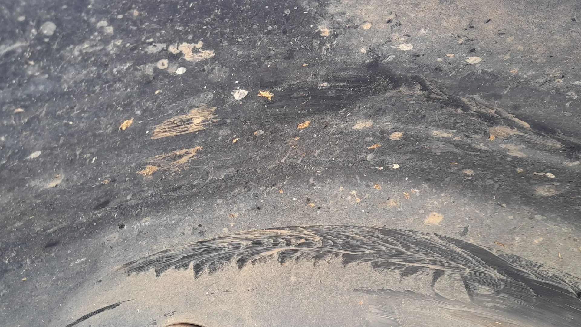 Plastico Pase Rueda Tras. Izq. para Fiat 500 (312_)