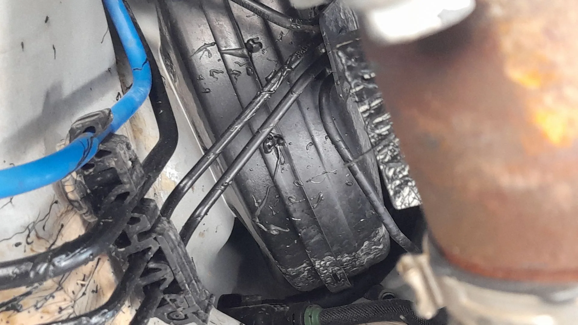 Servofreno para Fiat 500 (312_)