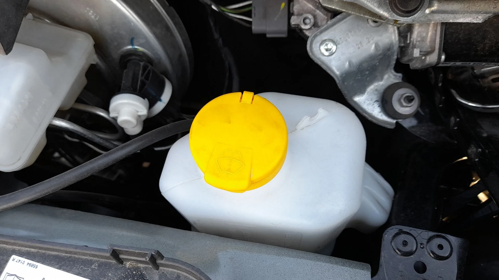 Deposito Limpia para Smart Forfour Hatchback (453)