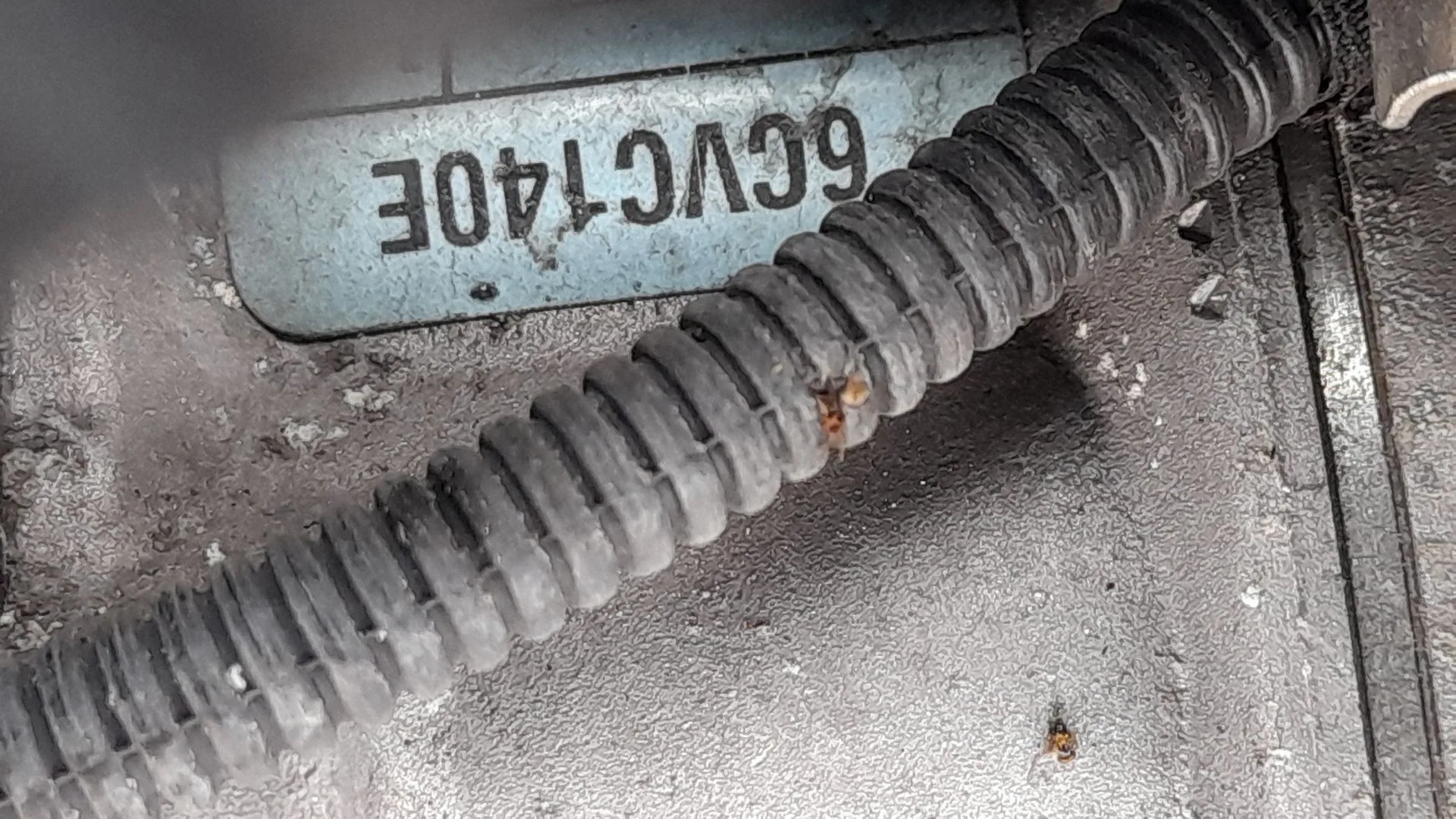 Compresor Aire Acondicionado para Honda Civic X Hatchback (Fc_, Fk_)