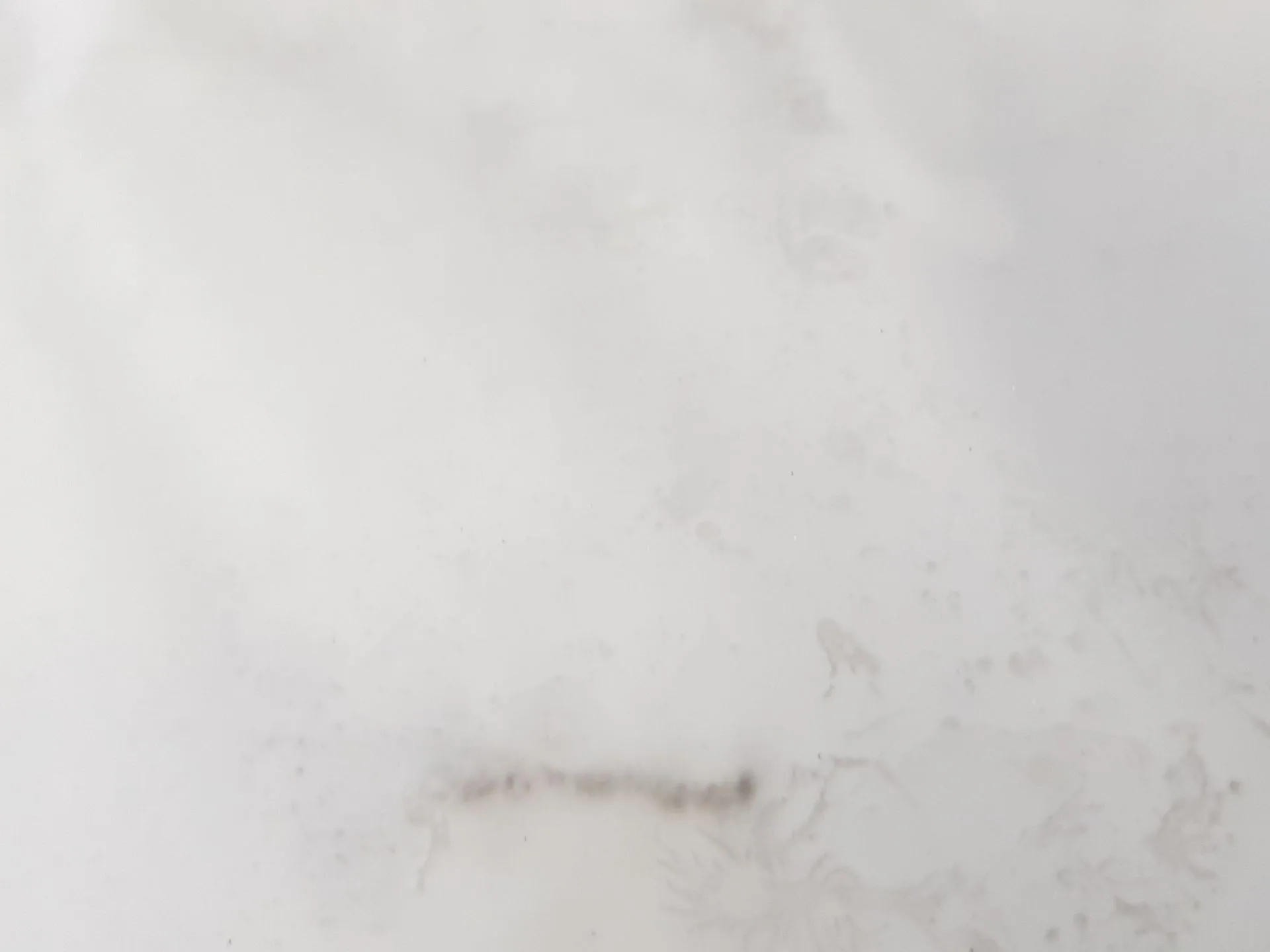 Elevalunas Trasero Derecho para Chevrolet Captiva (C100, C140)