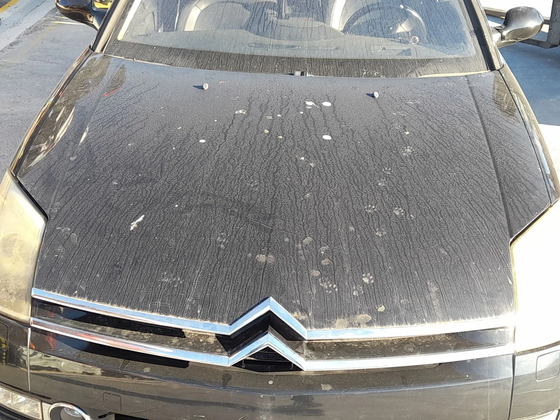 Capot para Citroën C6 (Td_)