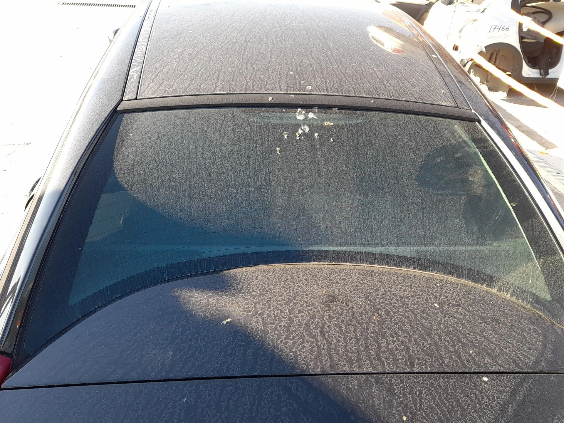 Luna Trasera para Citroën C6 (Td_)