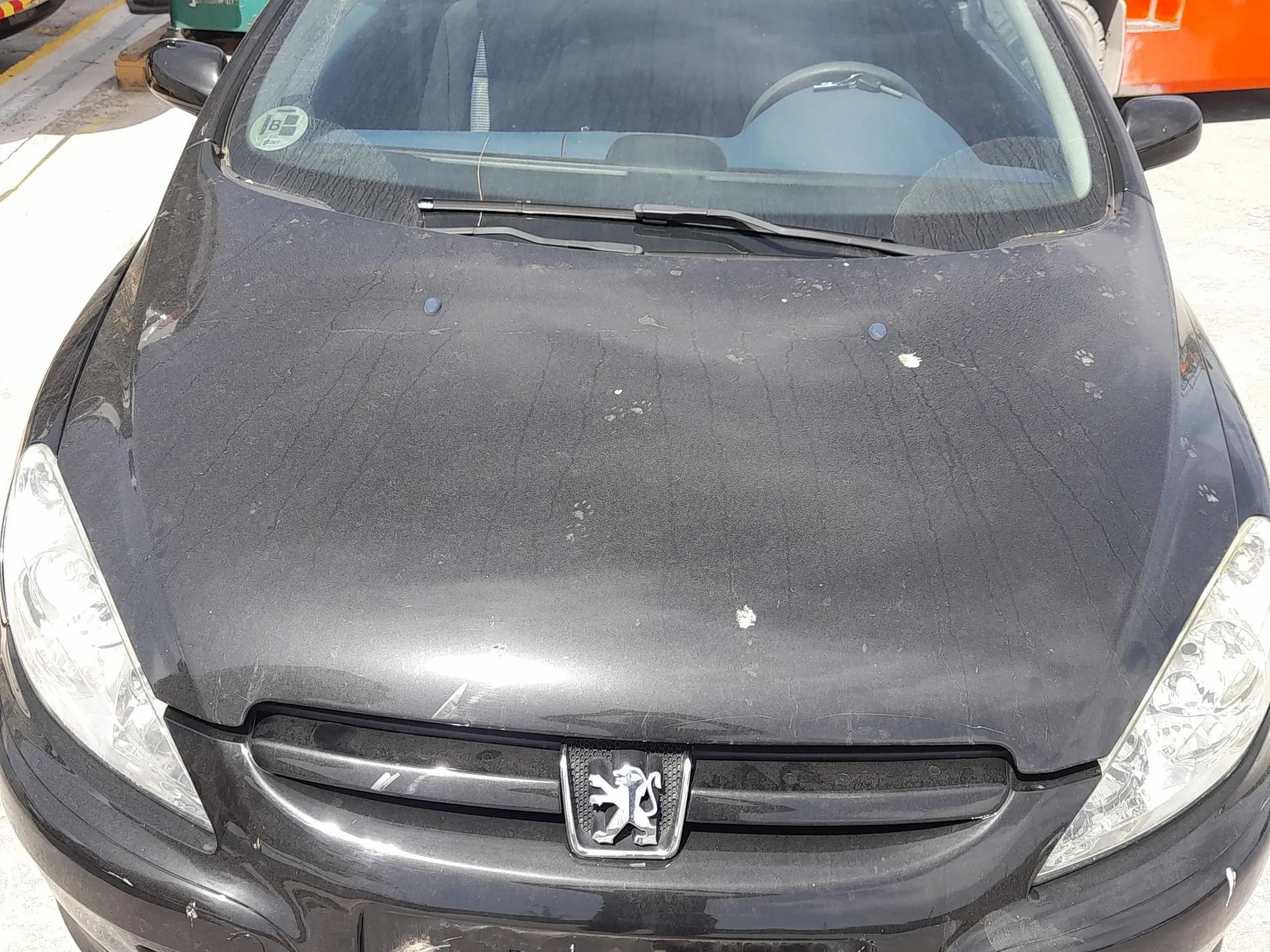 Capot para Peugeot 307 Cc (3B)