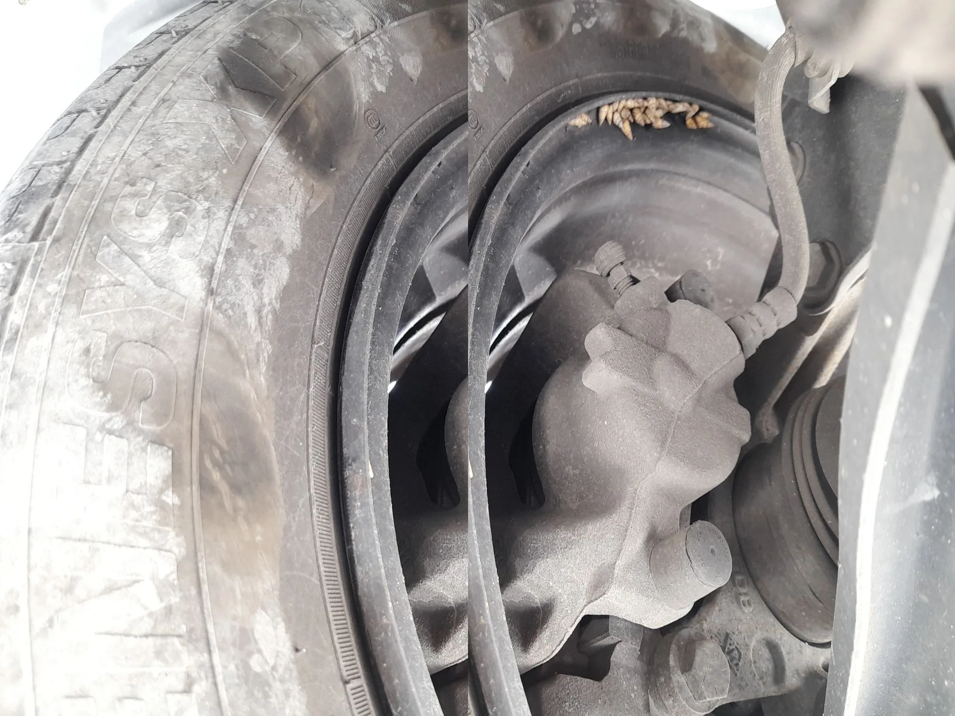 Pinza Freno Delantera Derecha para Dacia Lodgy (Js_)