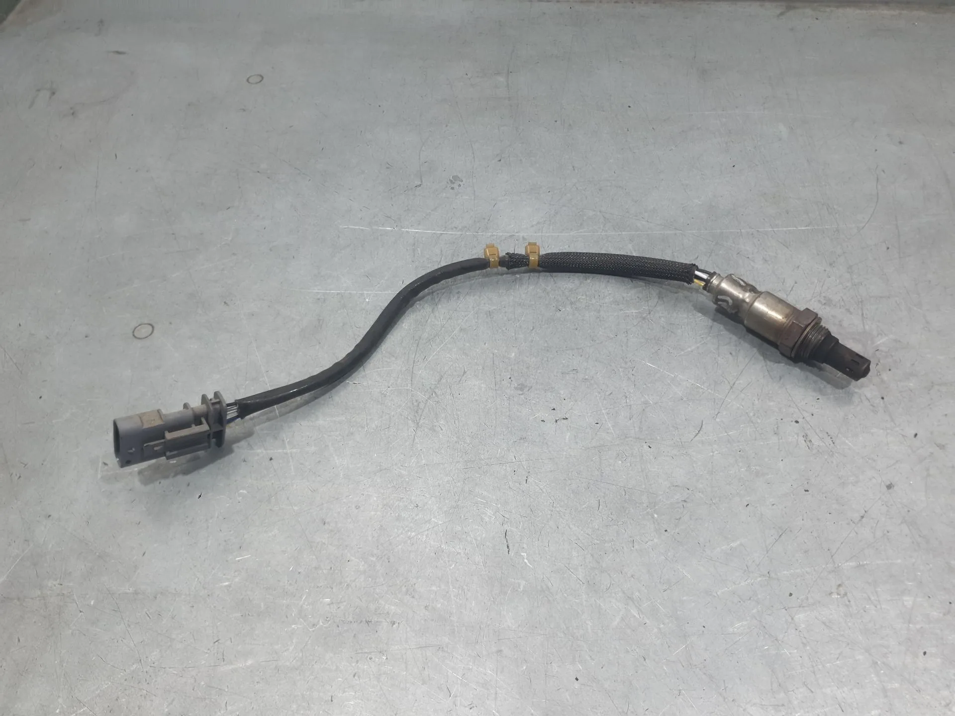 Sonda Lambda para Fiat Doblo Cargo (263_)