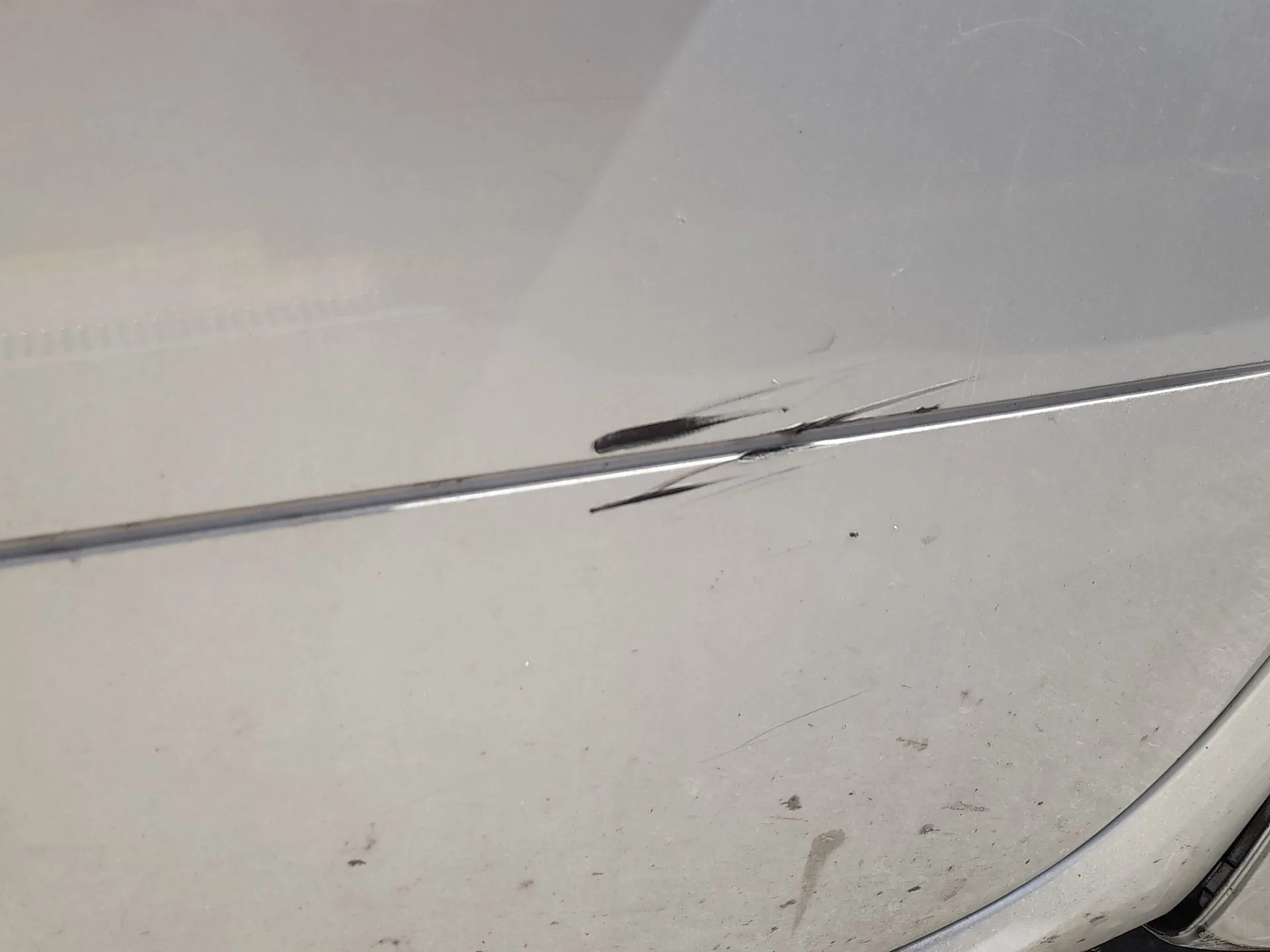 Puerta Delantera Derecha para Smart Forfour (454)