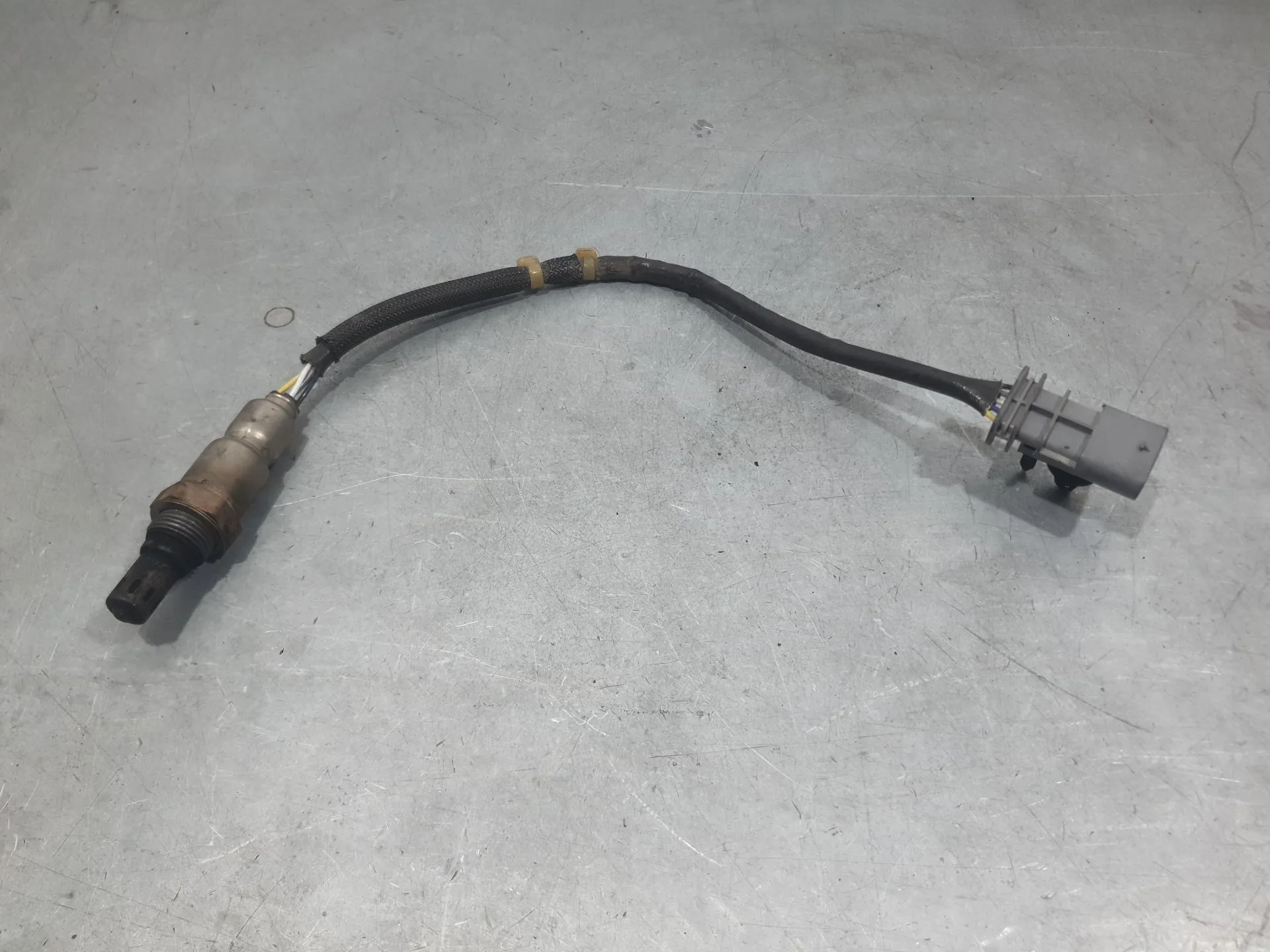Sonda Lambda para Fiat Doblo Cargo (263_)