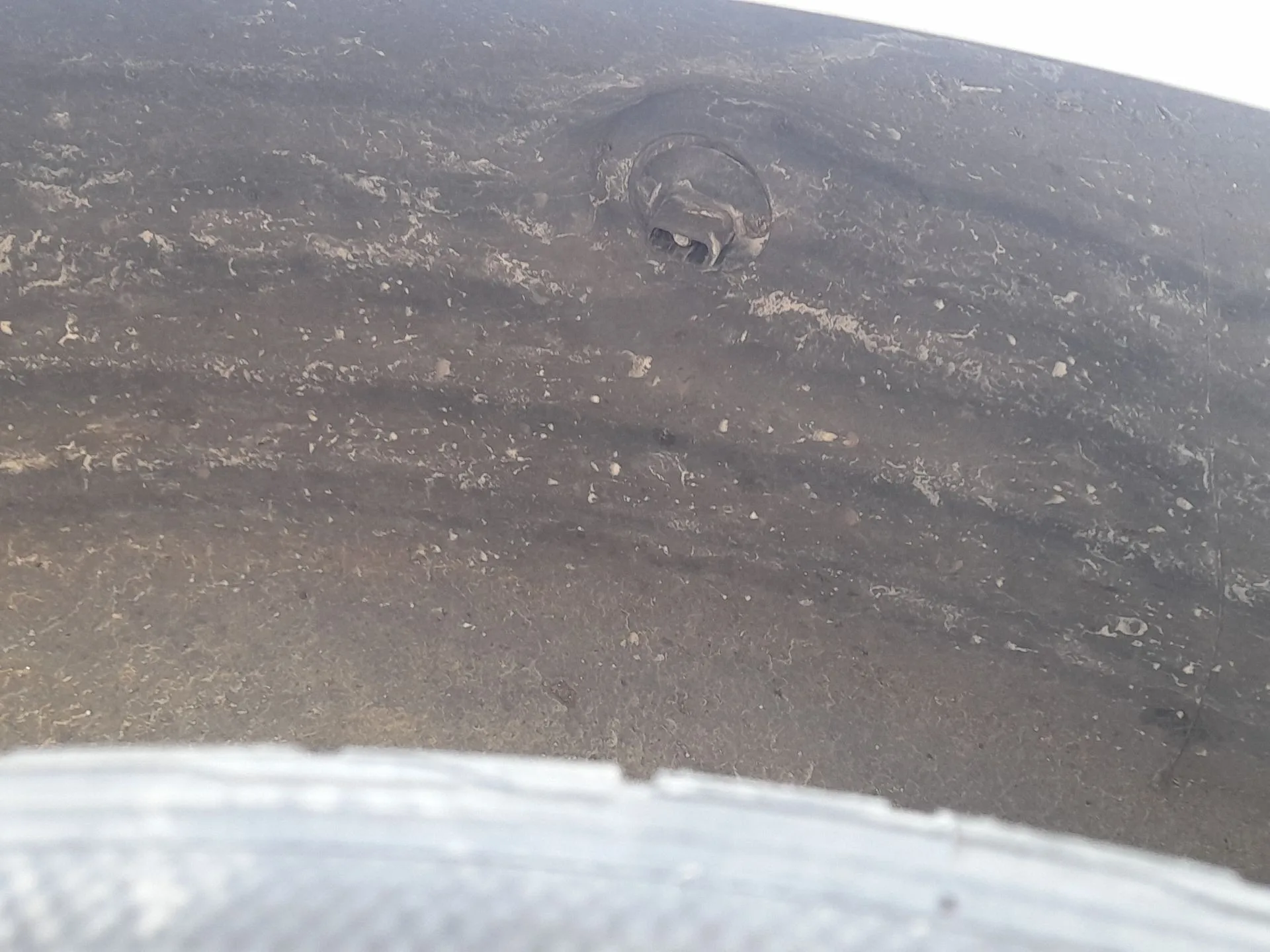 Plastico Pase Rueda Tras. Dch. para Renault Clio V (B7_)