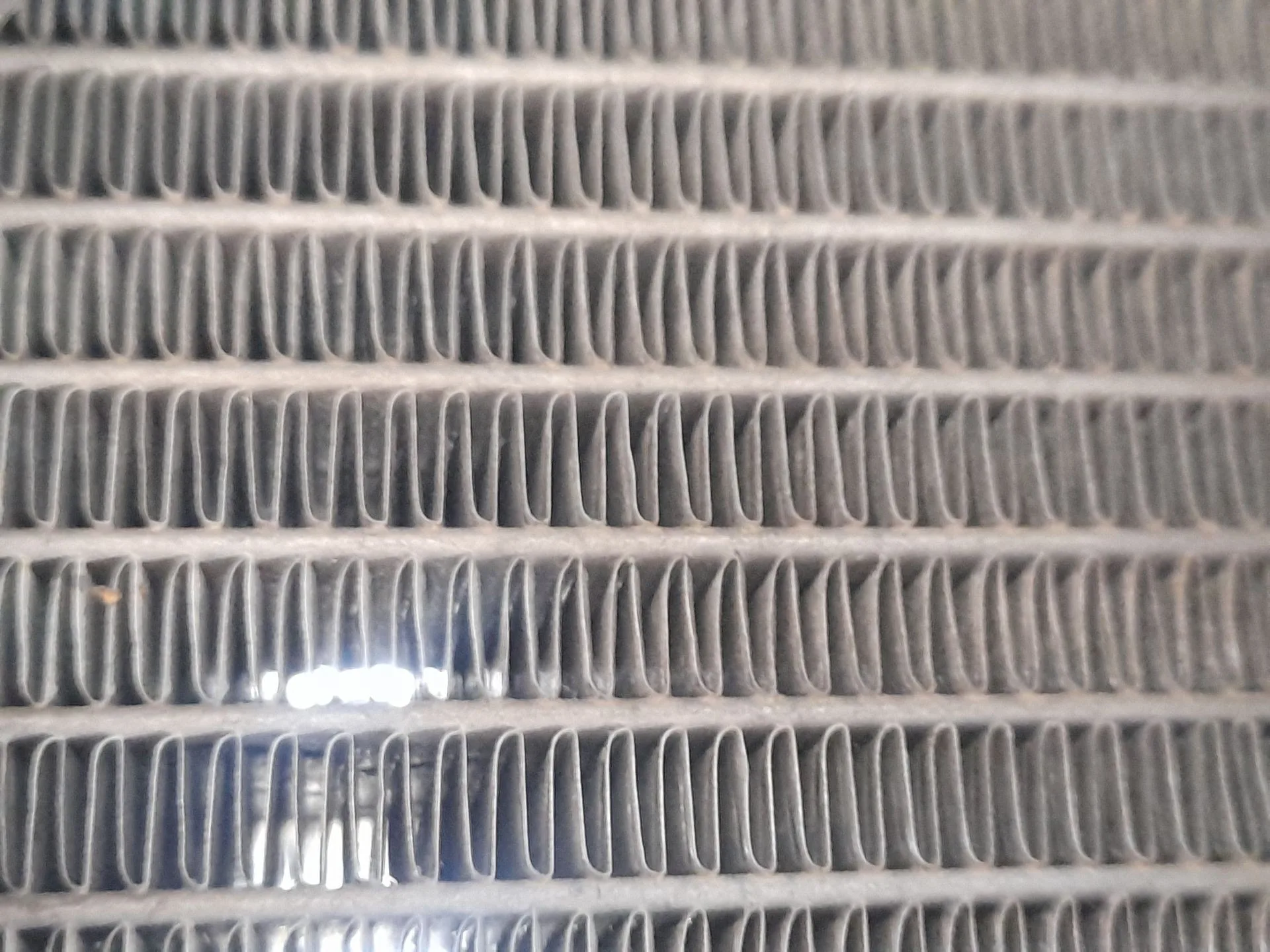 Radiador Agua para Renault Clio V (B7_)