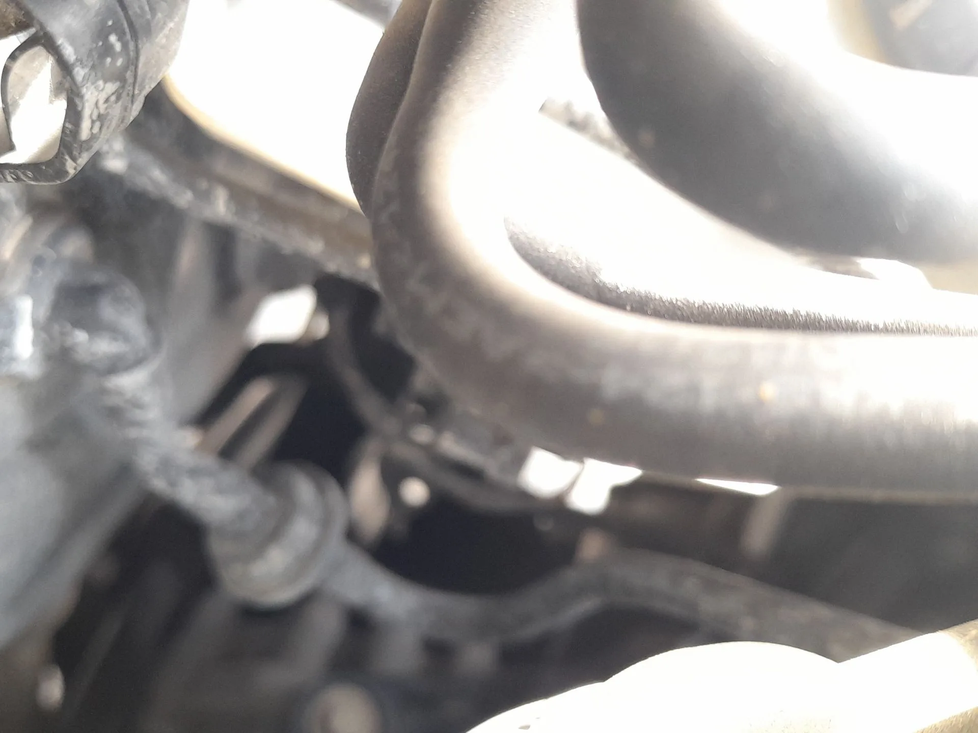Bomba Freno para Seat Leon (5F1)
