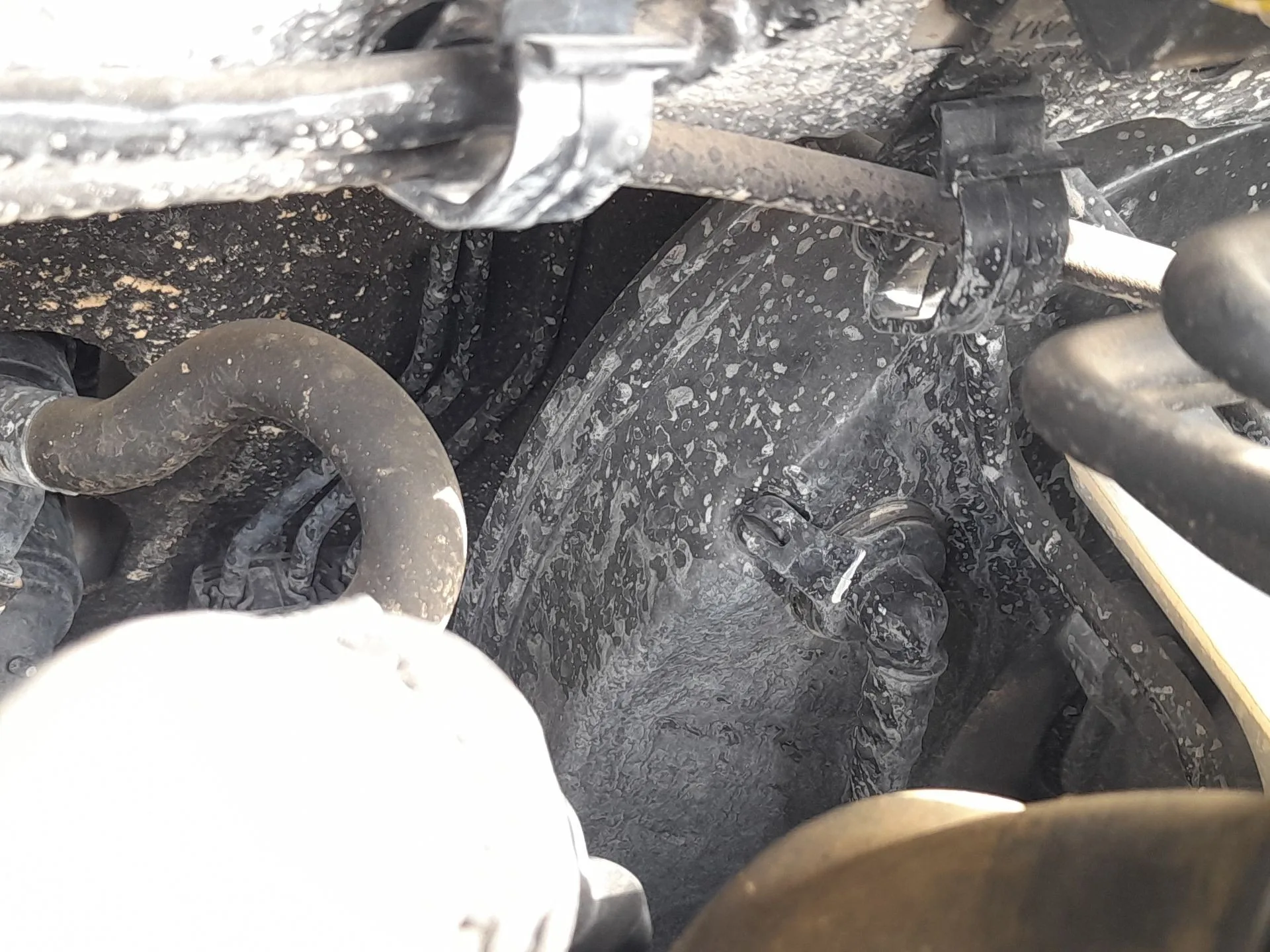 Servofreno para Seat Leon (5F1)