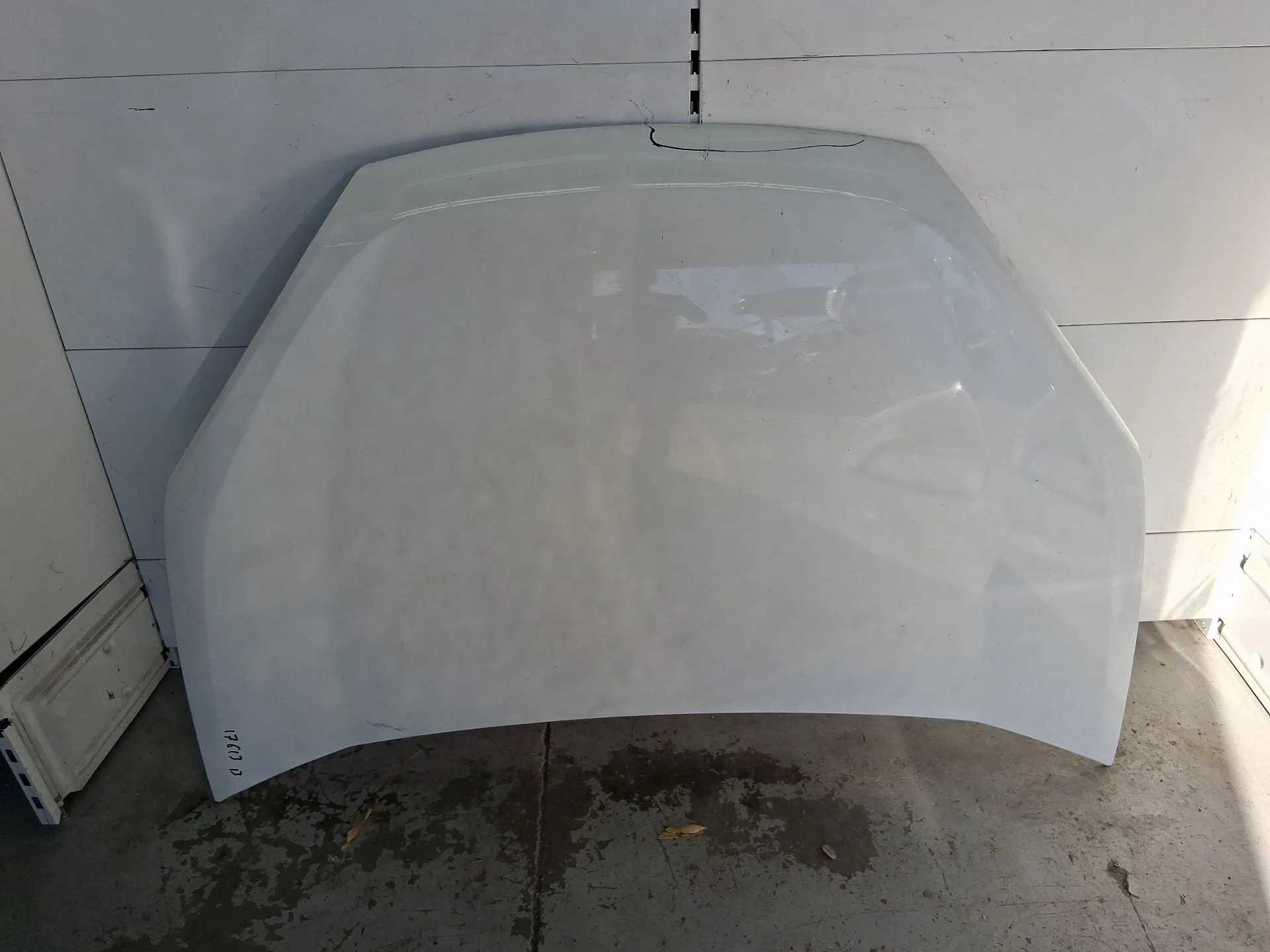 Capot para Fiat Doblo Cargo (263_)