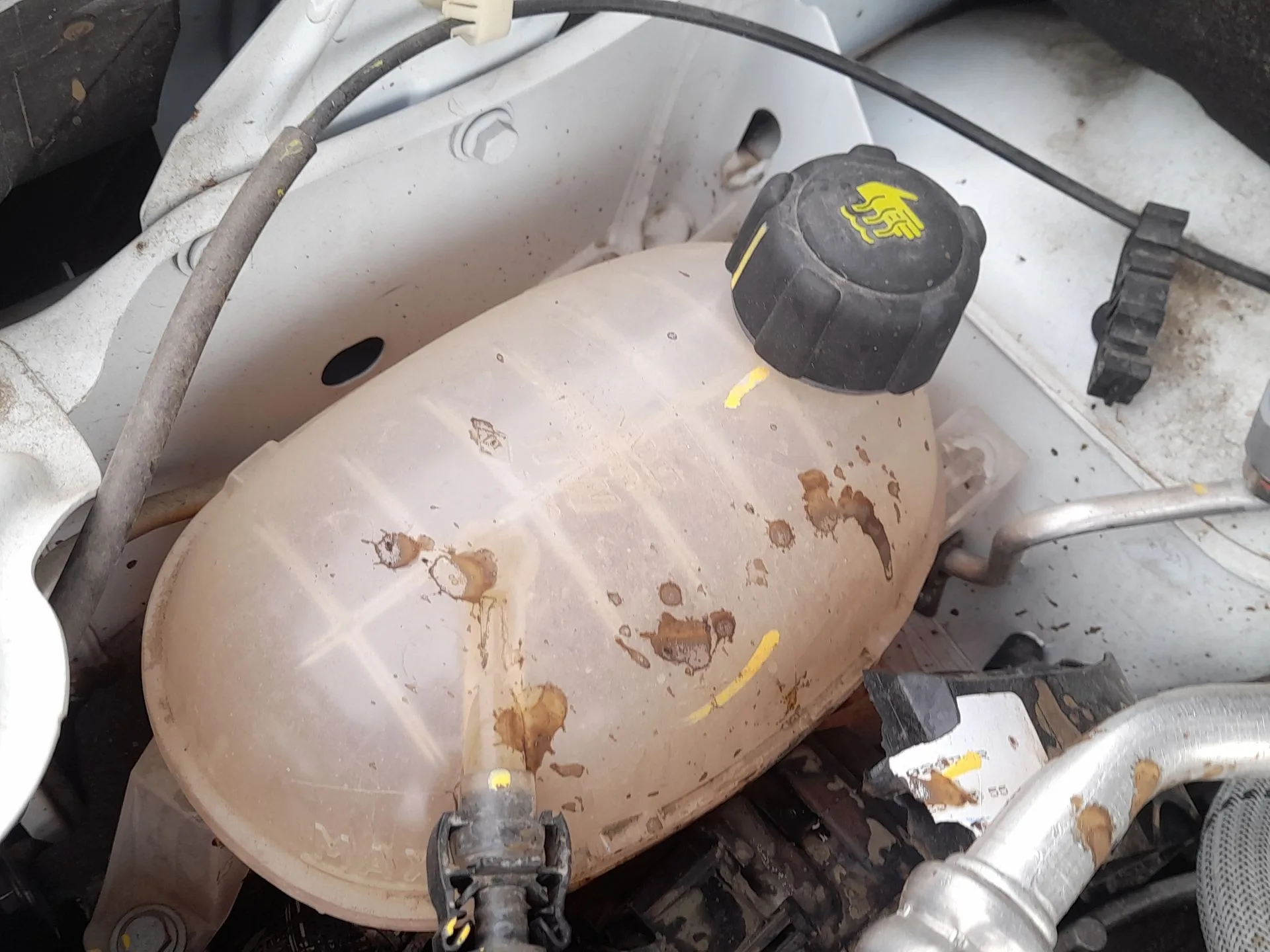 Deposito Expansion para Renault Express Furgoneta/Monovolumen