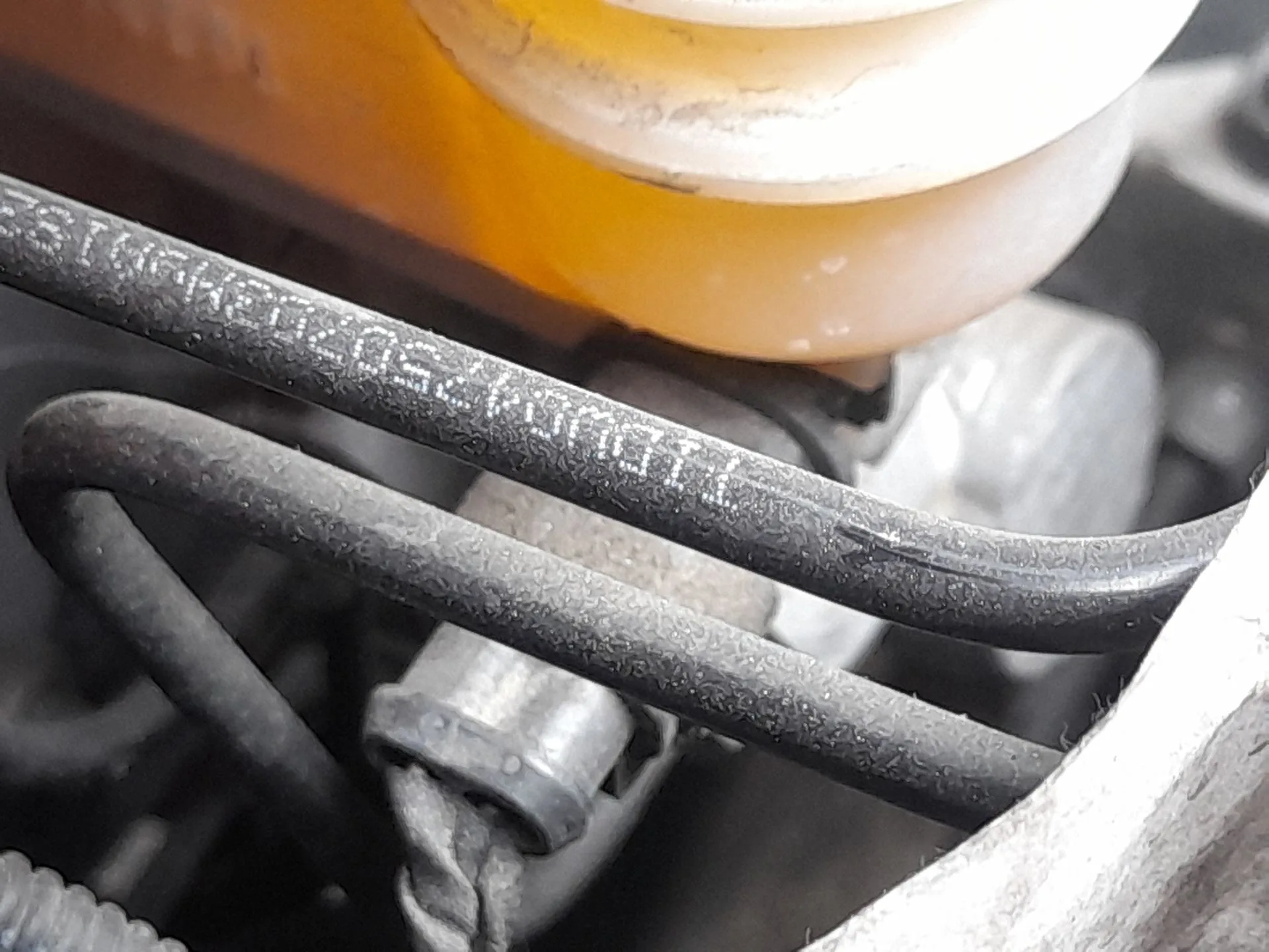 Bomba Freno para Ford Ka (Ru8)