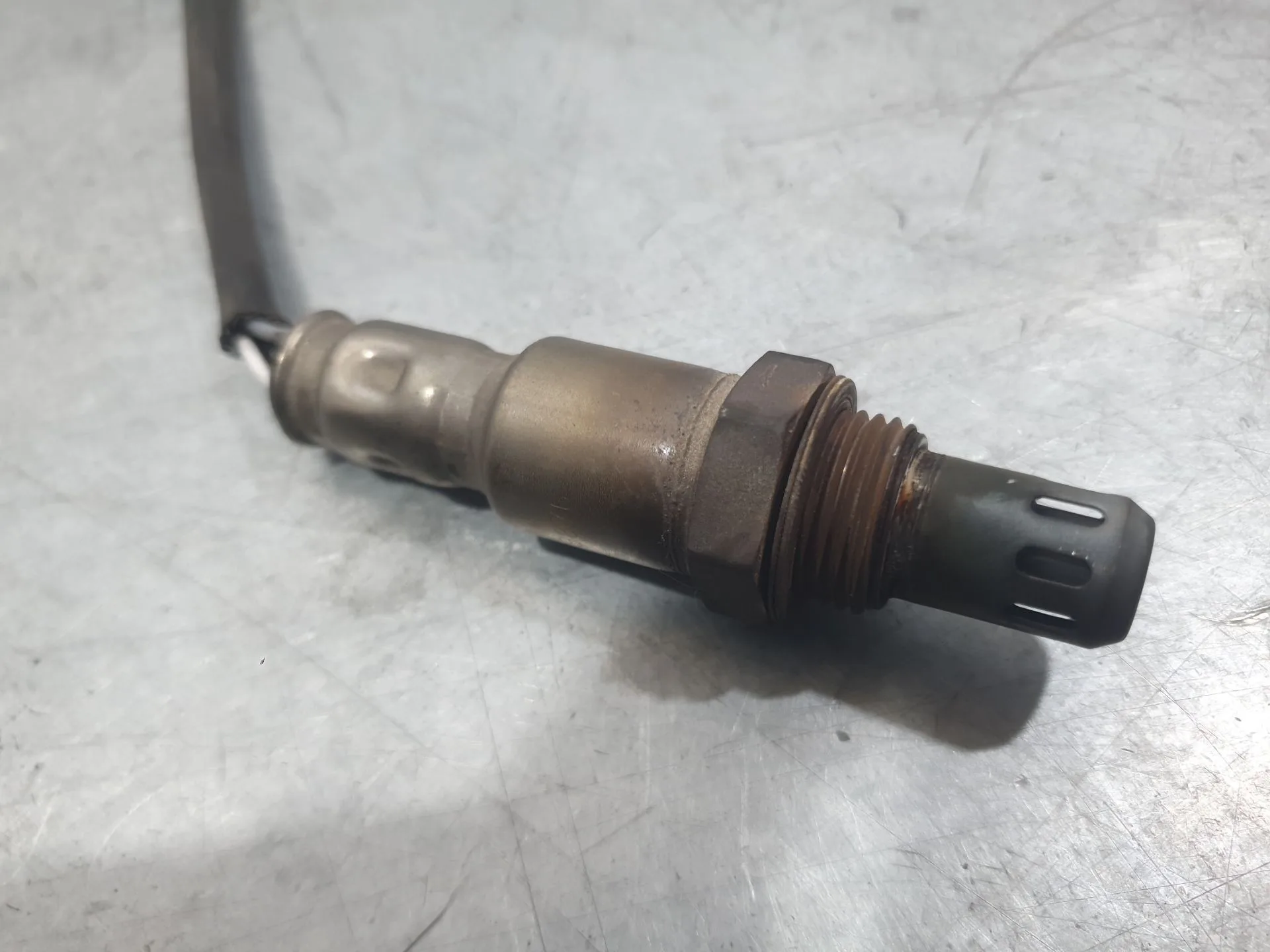 Sonda Lambda para Fiat 500 (312_)