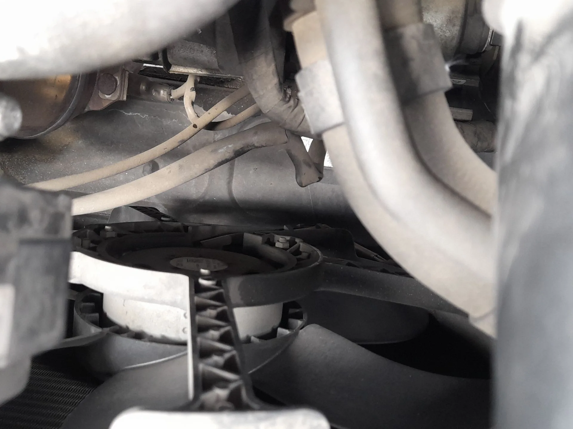 Electroventilador para Seat Ibiza Iv (6J5, 6P1)