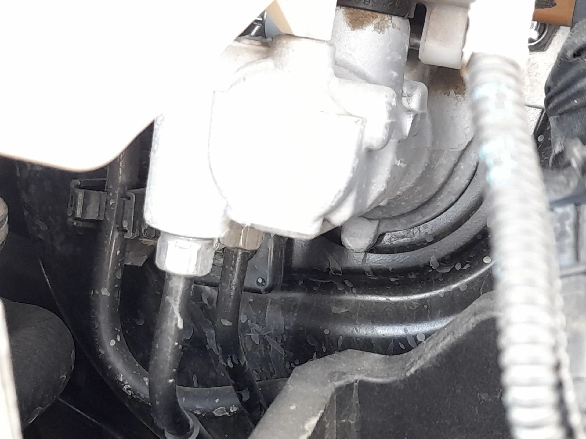 Bomba Freno para Citroën C4 Iii (Ba_, Bb_, Bc_)