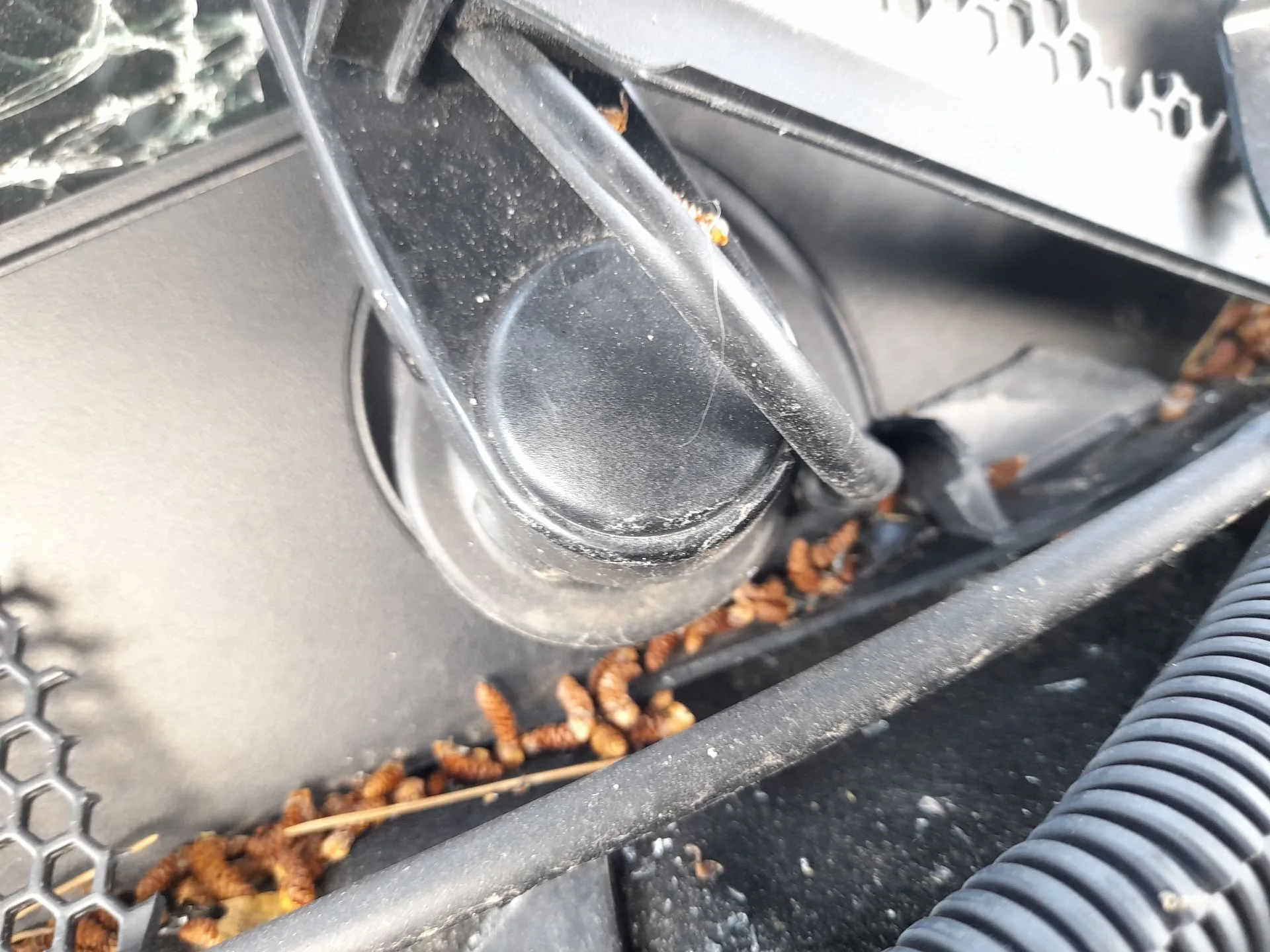 Motor Limpia Delantero para Citroën C5 Aircross (Ac_, Aj_, Ar_, A4_)