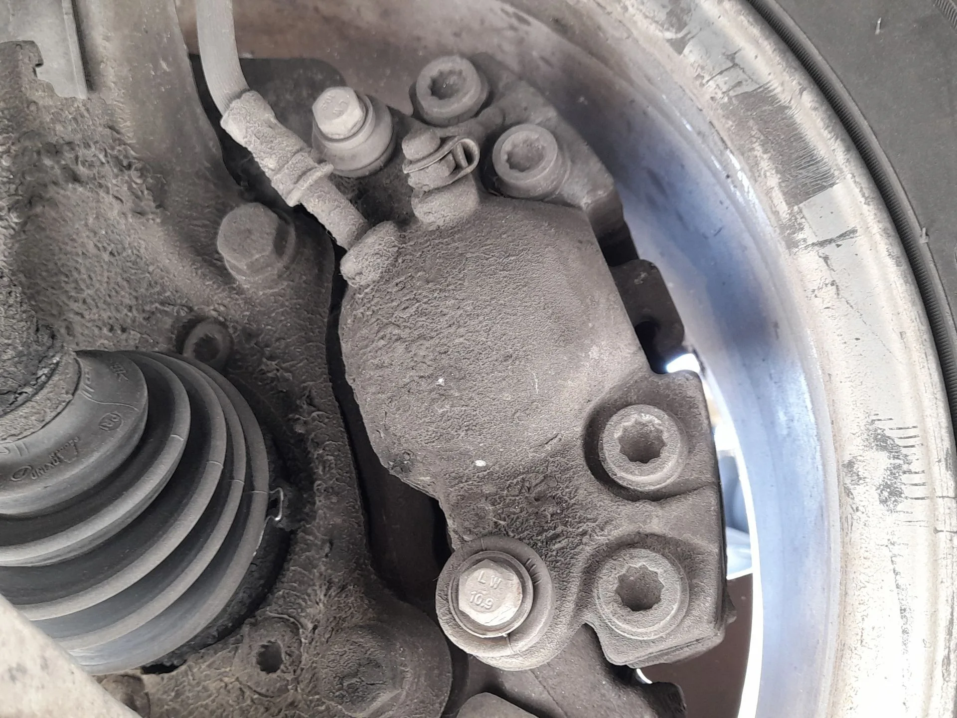 Pinza Freno Delantera Derecha para Audi Q5 (8Rb)