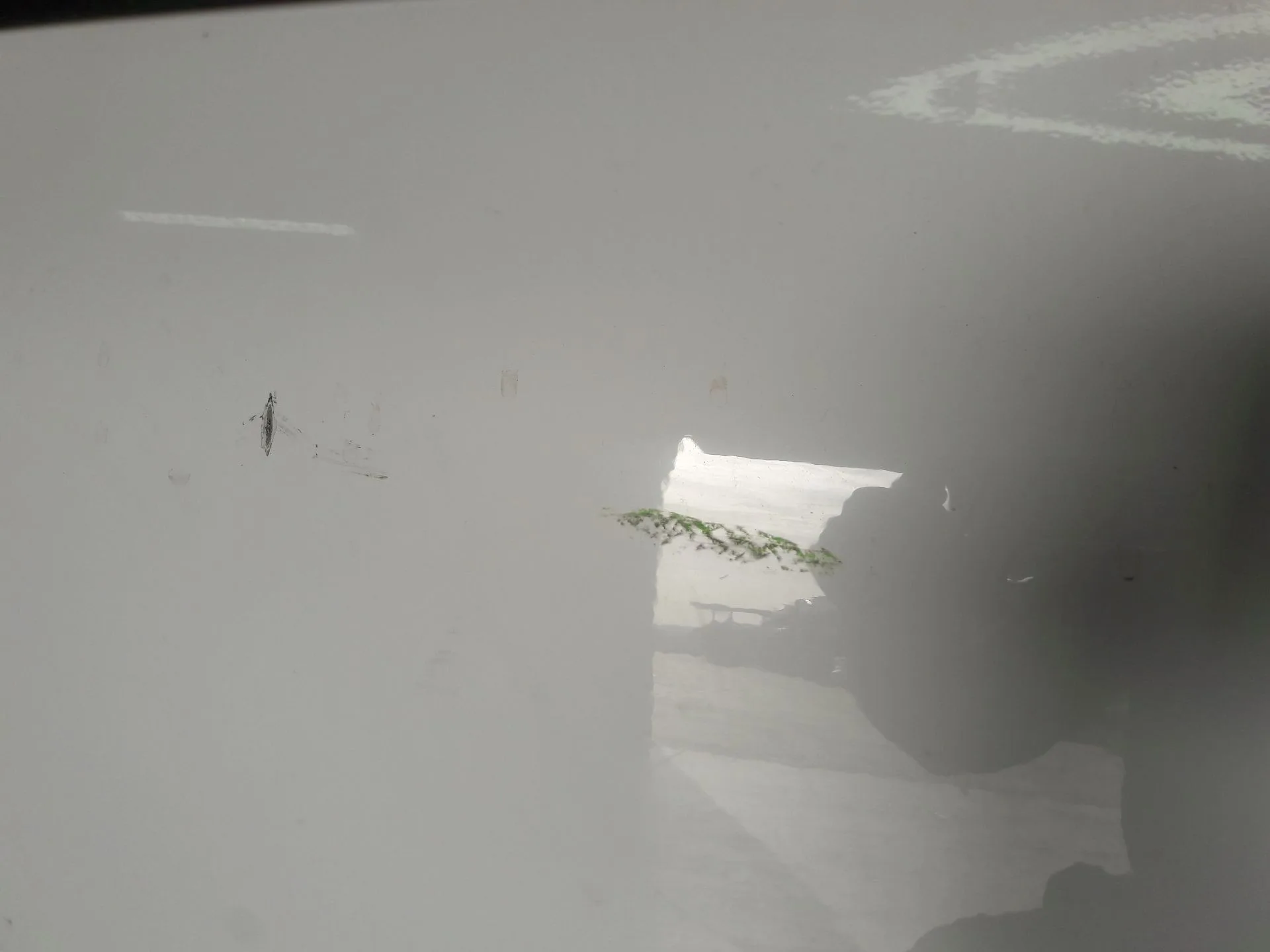 Puerta Delantera Derecha para Nissan Townstar Furgoneta/Monovolumen (Xfk)