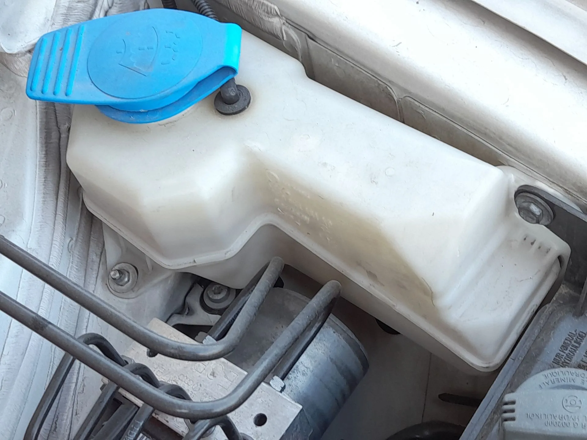 Deposito Limpia para Seat Exeo (3R2)