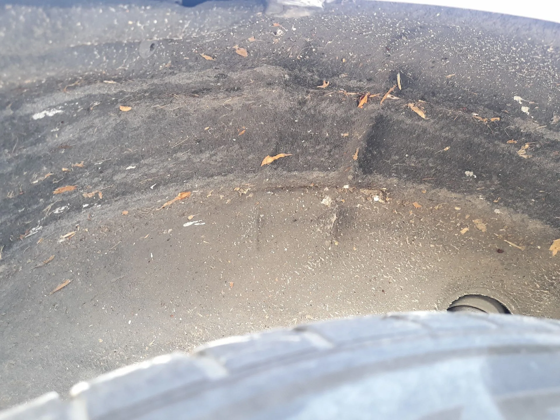 Plastico Pase Rueda Tras. Dch. para Seat Exeo (3R2)