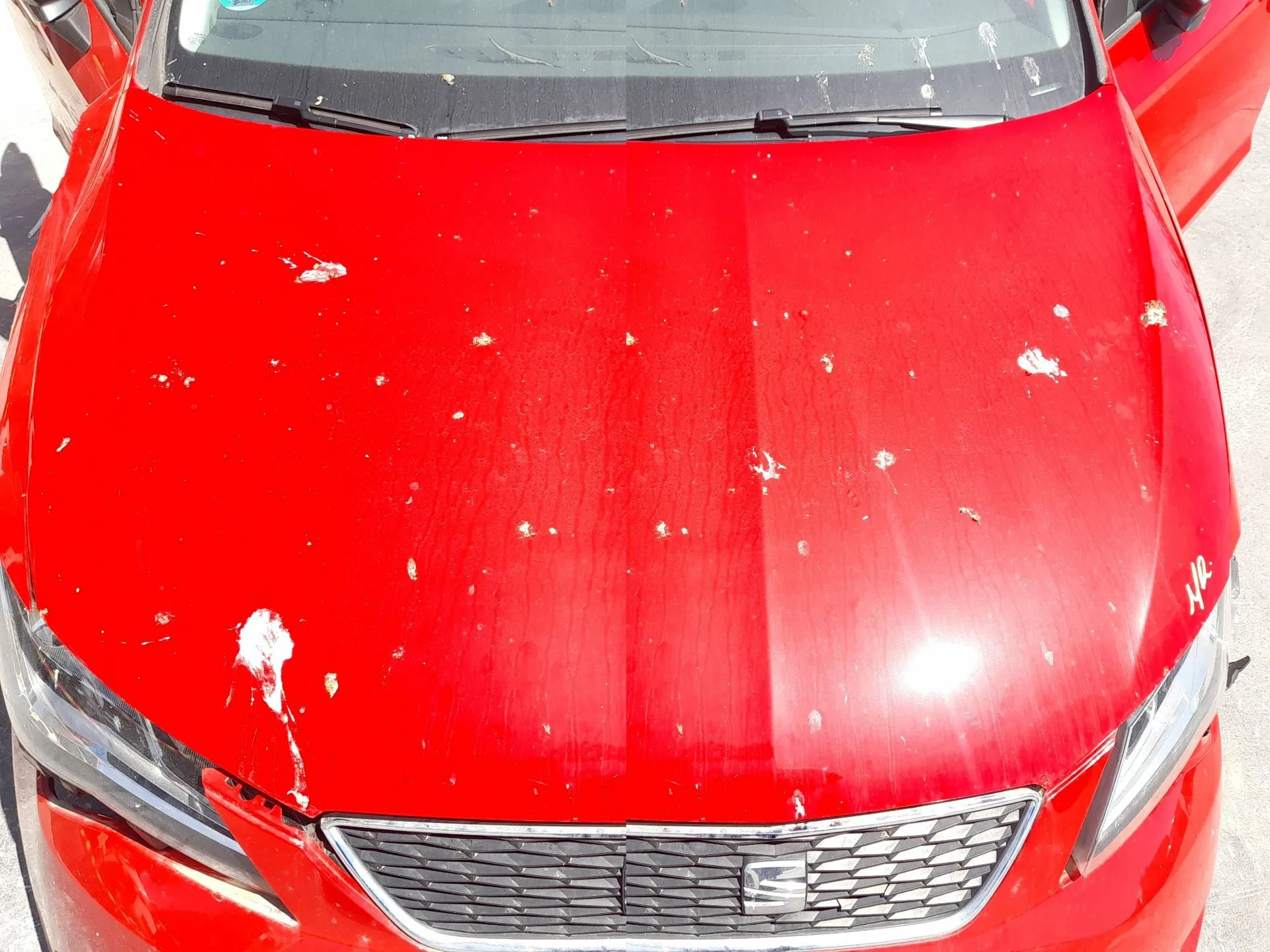 Capot para Seat Leon St (5F8)