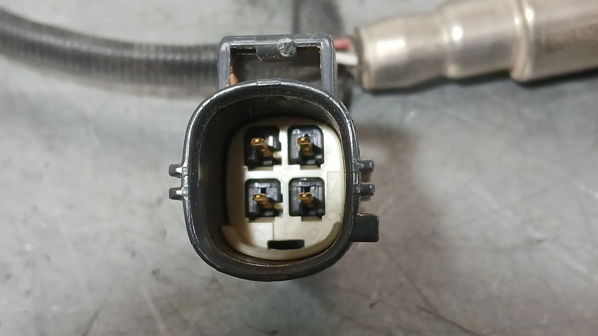 Sonda Lambda para Land Rover Range Rover Evoque (L551)