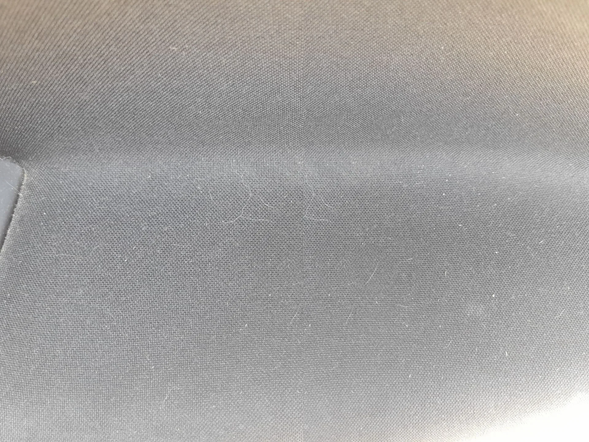 Elevalunas Trasero Derecho para Fiat Tipo Station Wagon (356_, 357_)