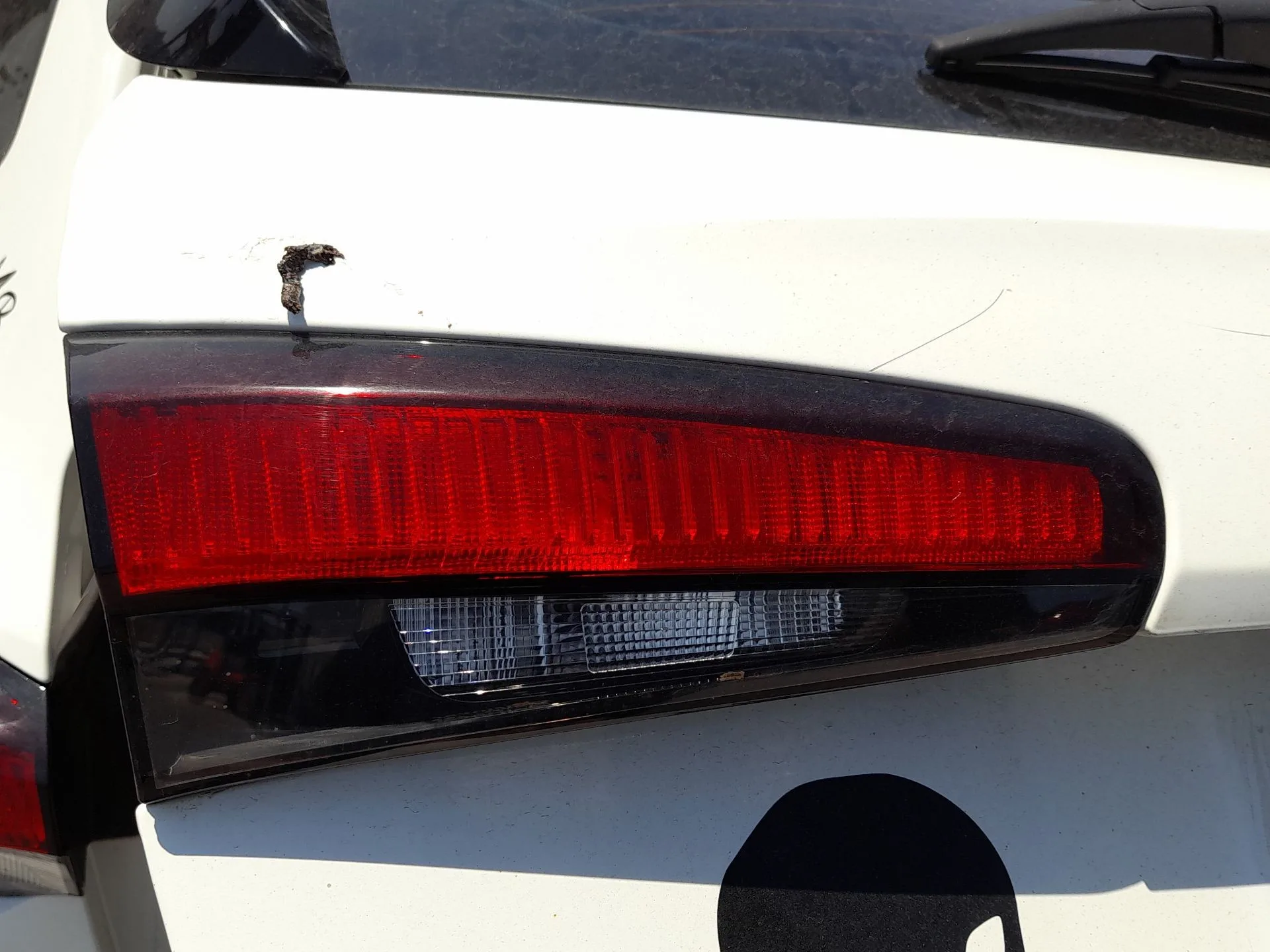 Piloto Trasero Izquierdo Interior para Fiat Tipo Station Wagon (356_, 357_)