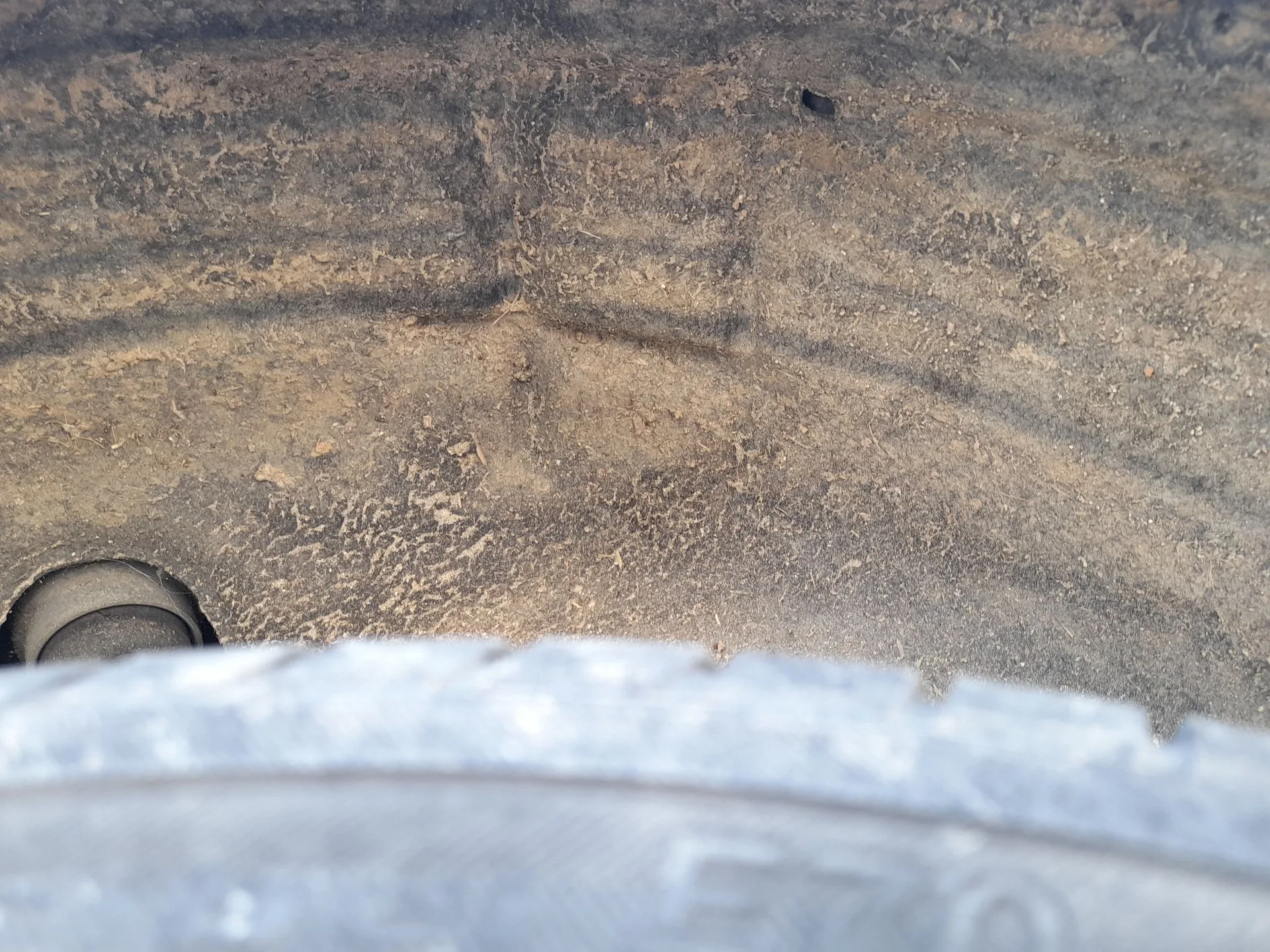 Plastico Pase Rueda Tras. Izq. para Seat Exeo (3R2)