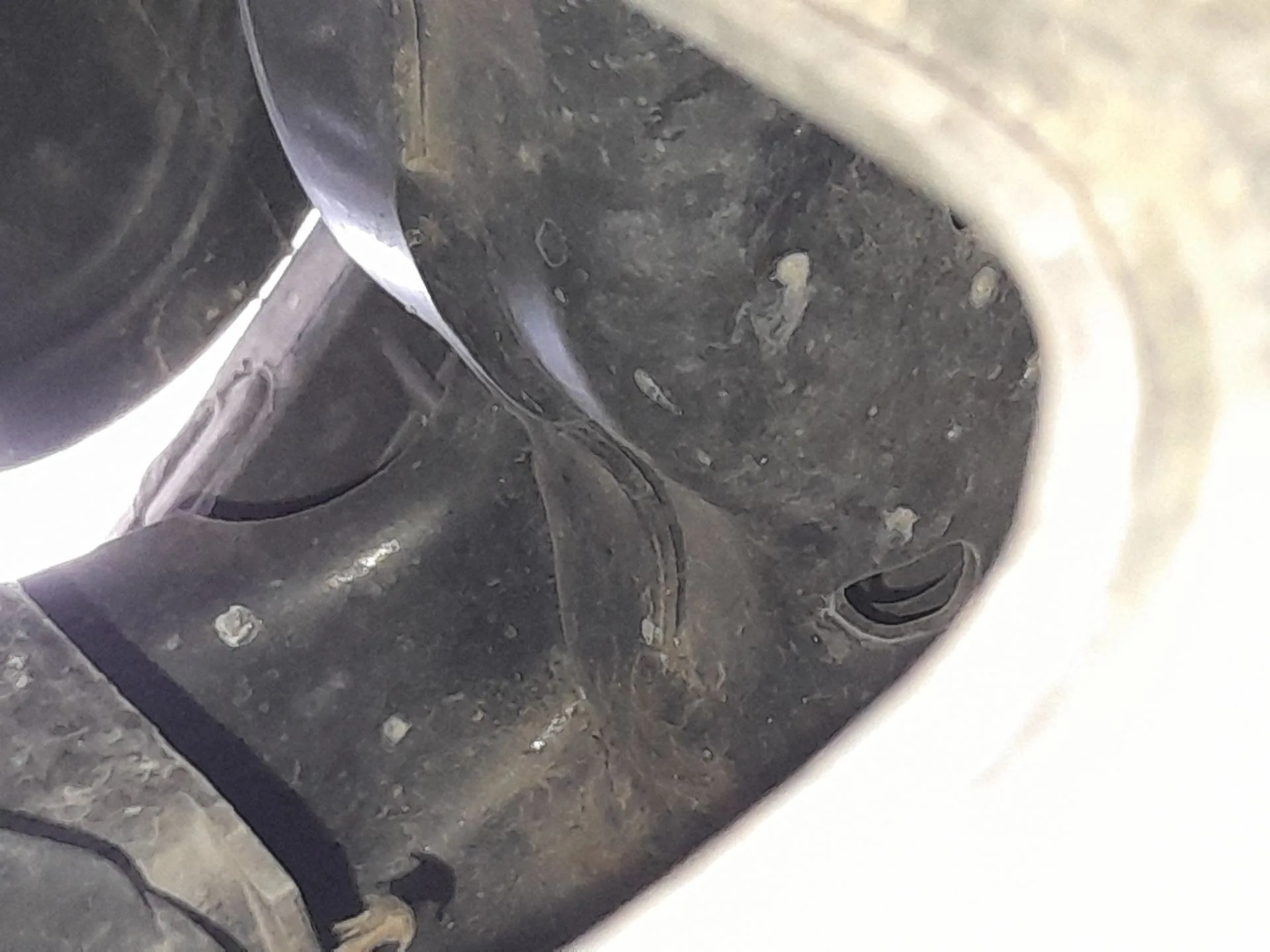 Refuerzo Paragolpes Delantero para Seat Exeo (3R2)