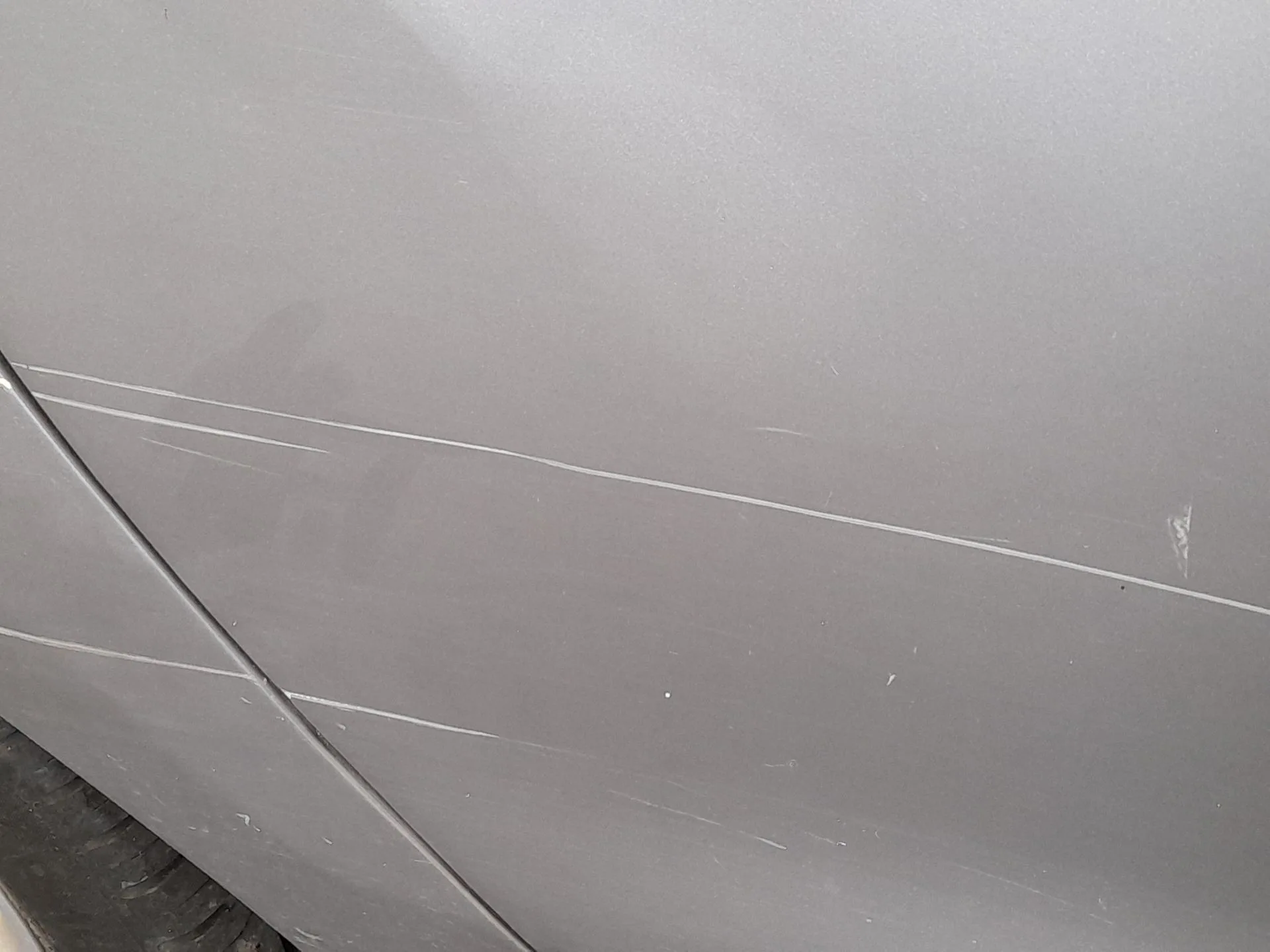 Puerta Trasera Derecha para Dacia Lodgy (Js_)